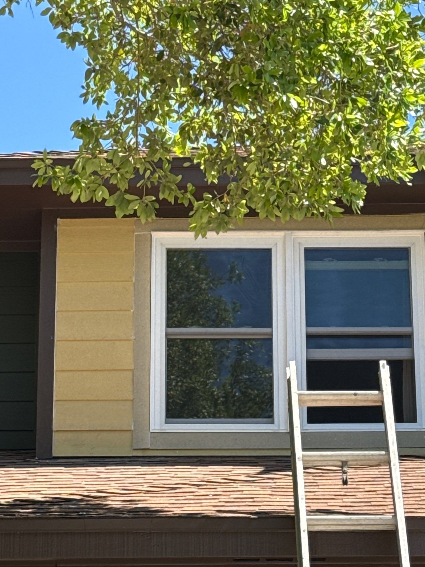 Make that Green, Baby! by Bayfront Roofing and Construction