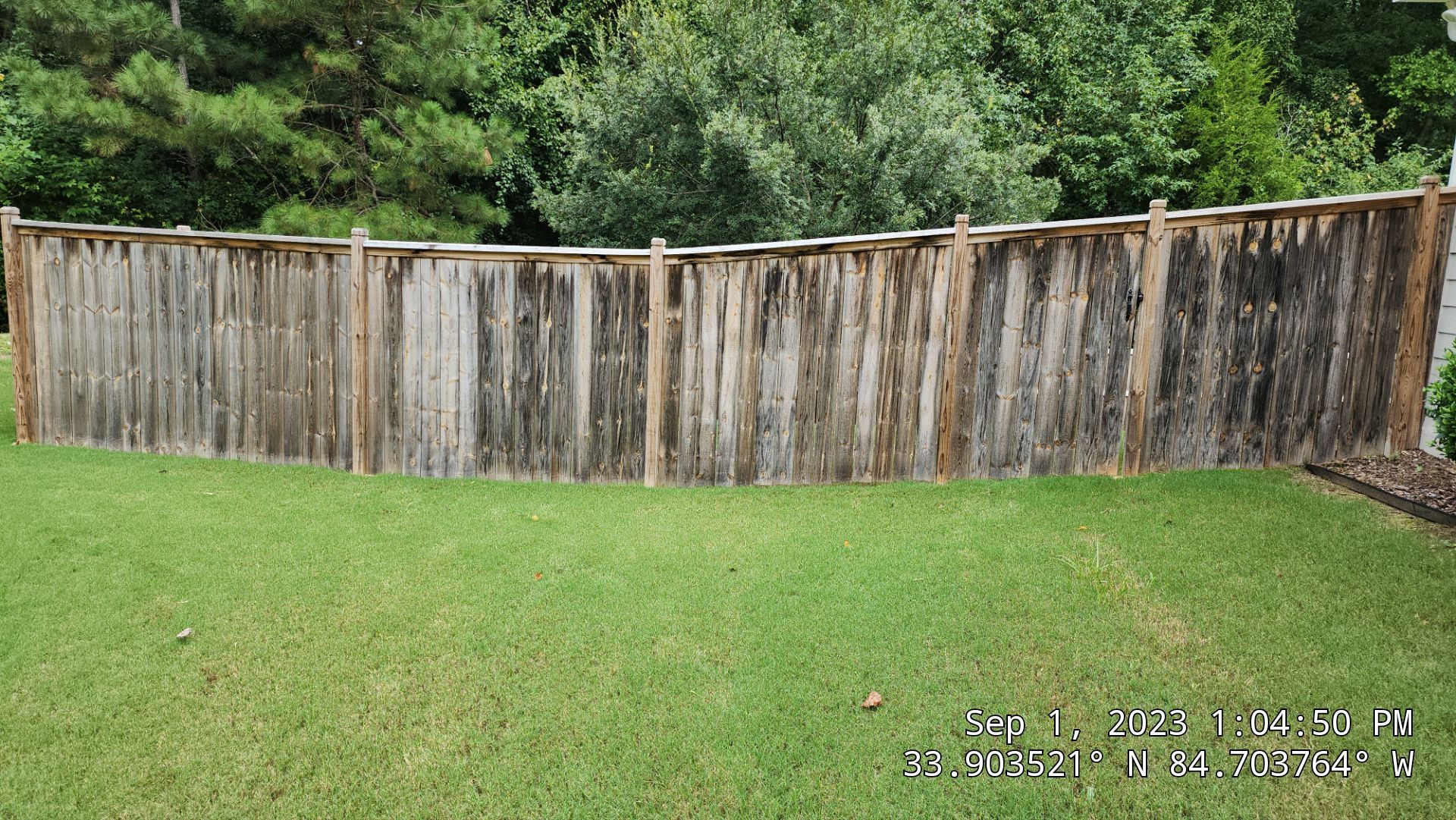 Fence Staining using Pecan by SSE by Titans of Timber Fence & Stain
