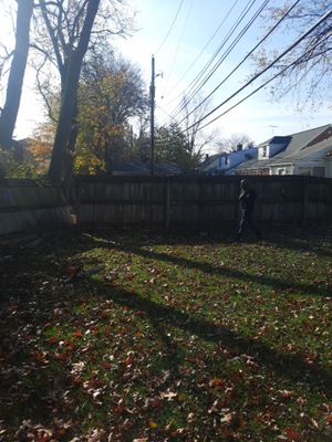 Tree Removal using Tree Removal