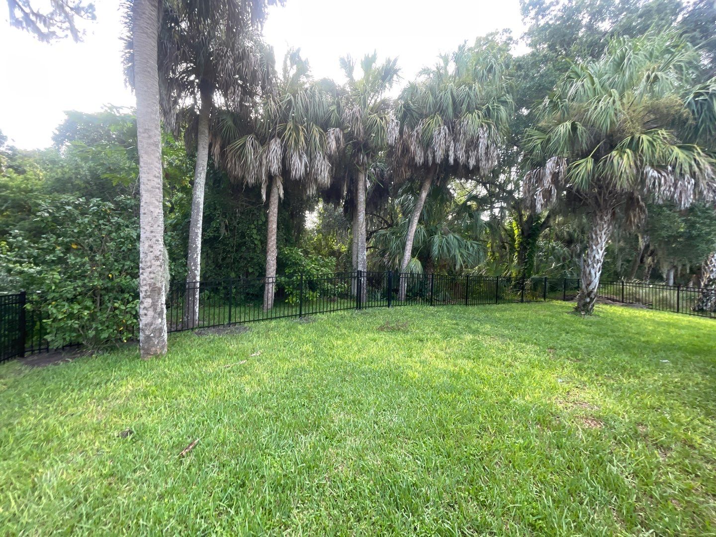Palmetto, FL 4ft. Tall 3-Rail Aluminum  by Asap fence and gates, LLC