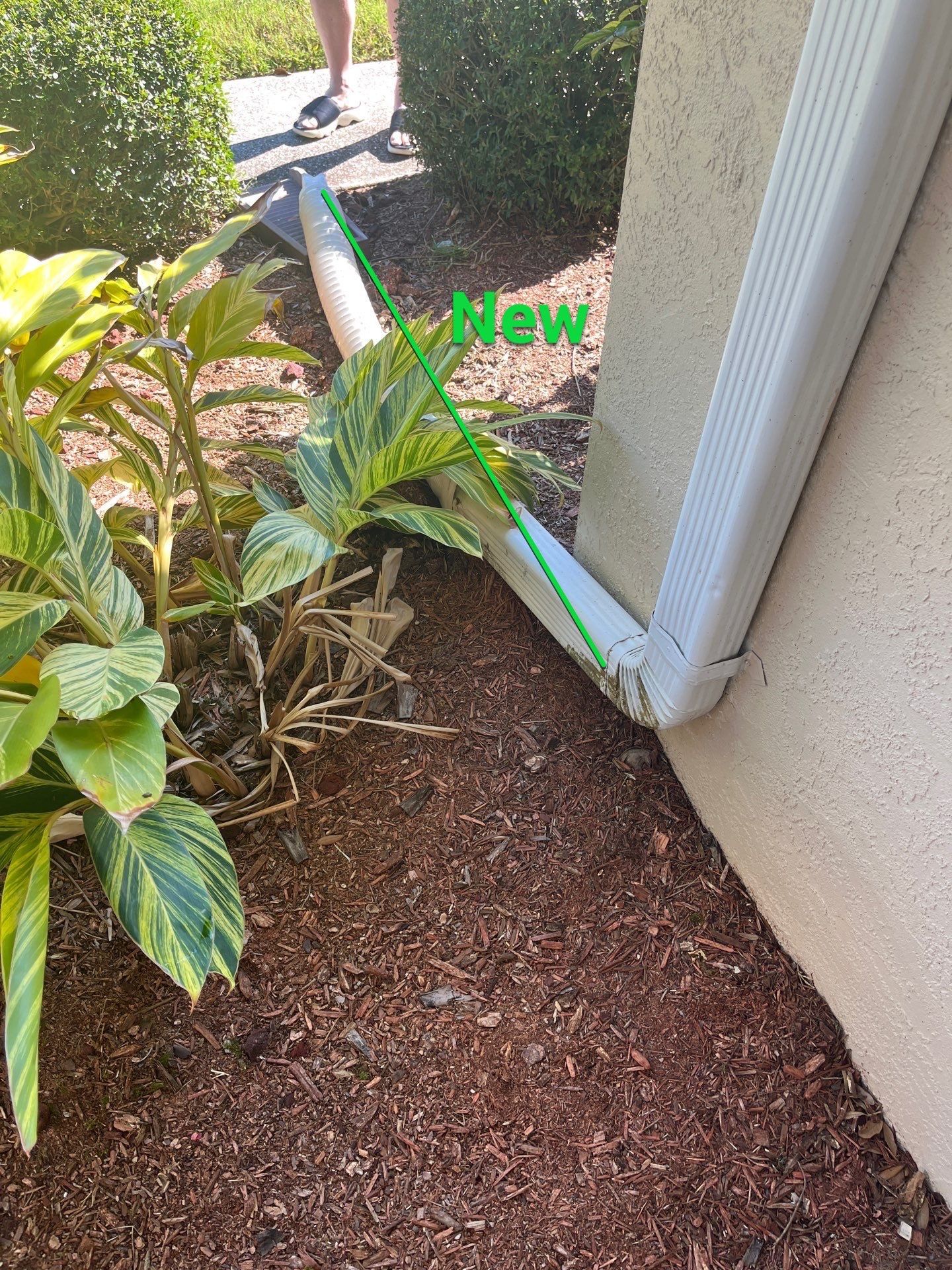 White Seamless Gutters using 6 Inch Seamless Gutters in Sarasota FL by Gutter Professors