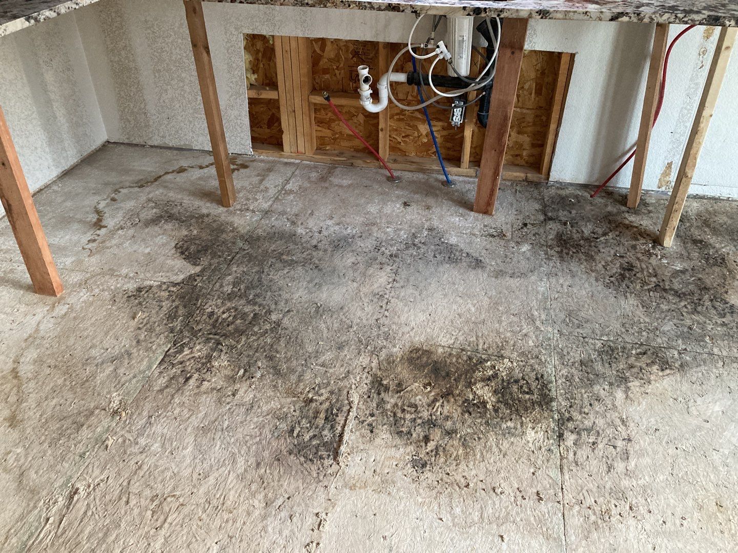 Mold Remediation in Kitchen by Accountable Home Services