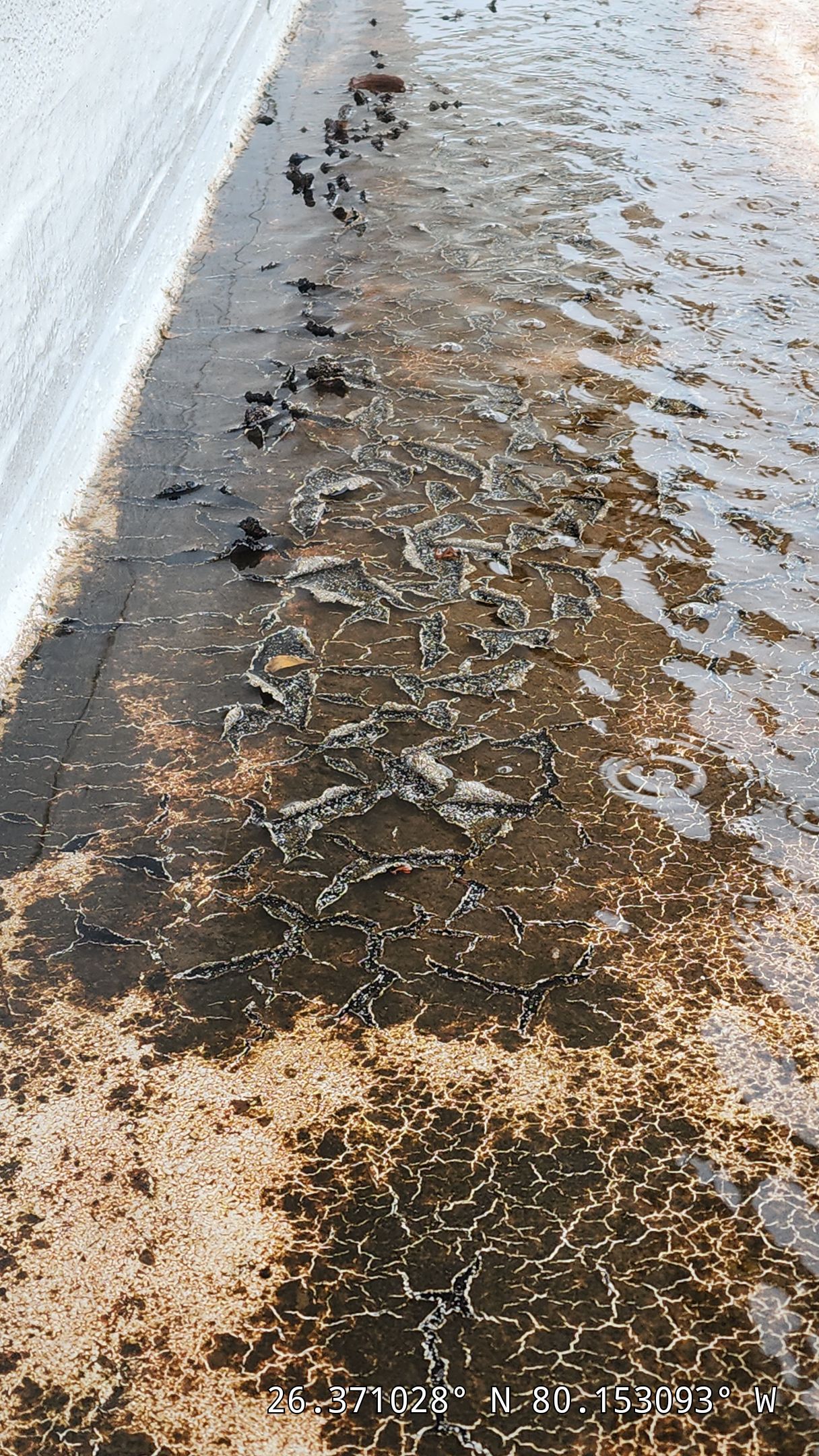 Flat Roof Restoration and Silicone Coating in Boca Raton by Aastro Roofing