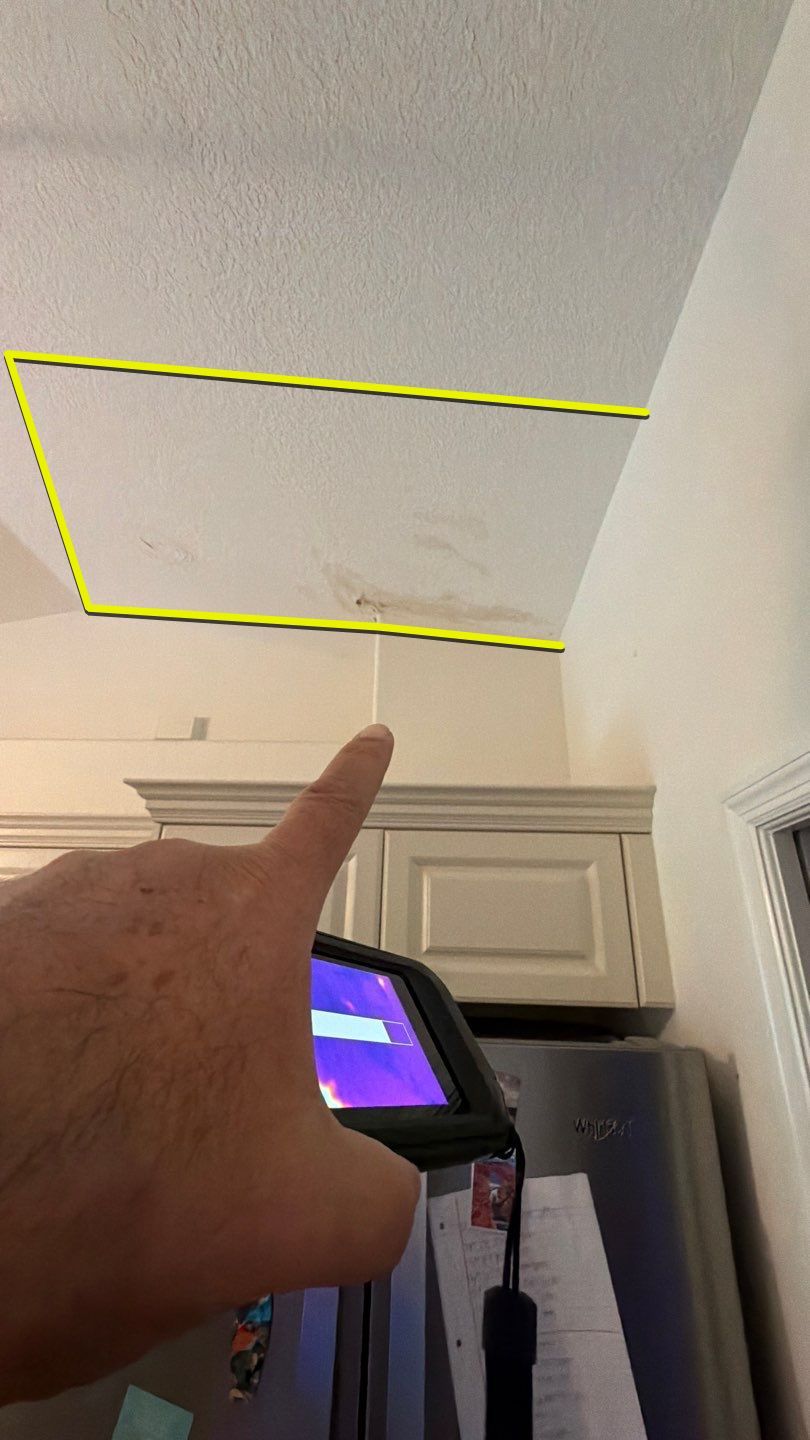 Mold Damage Inspection And Removal In North Port, FL by Ampm Restoration Services