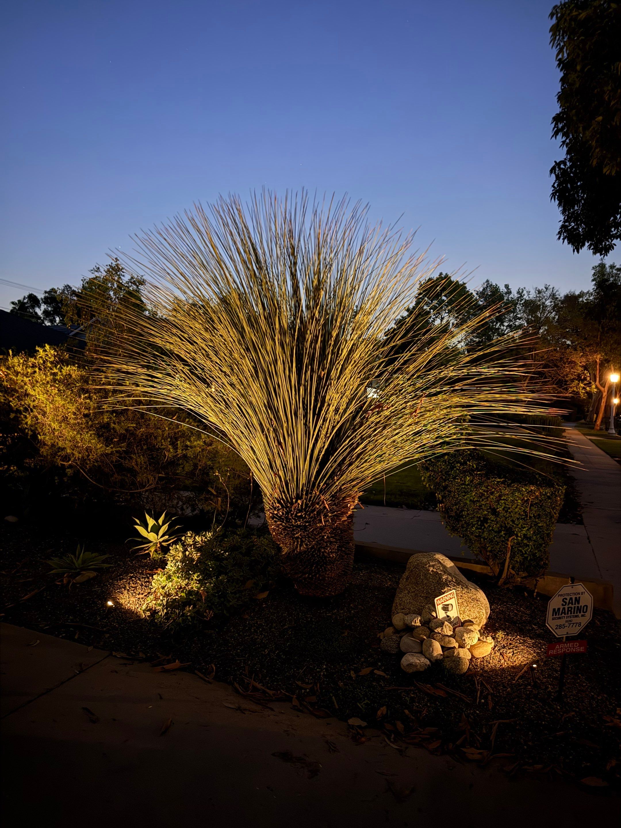 Pasadena Outdoor Living Space Transformation by Outdoor Lights + Shades