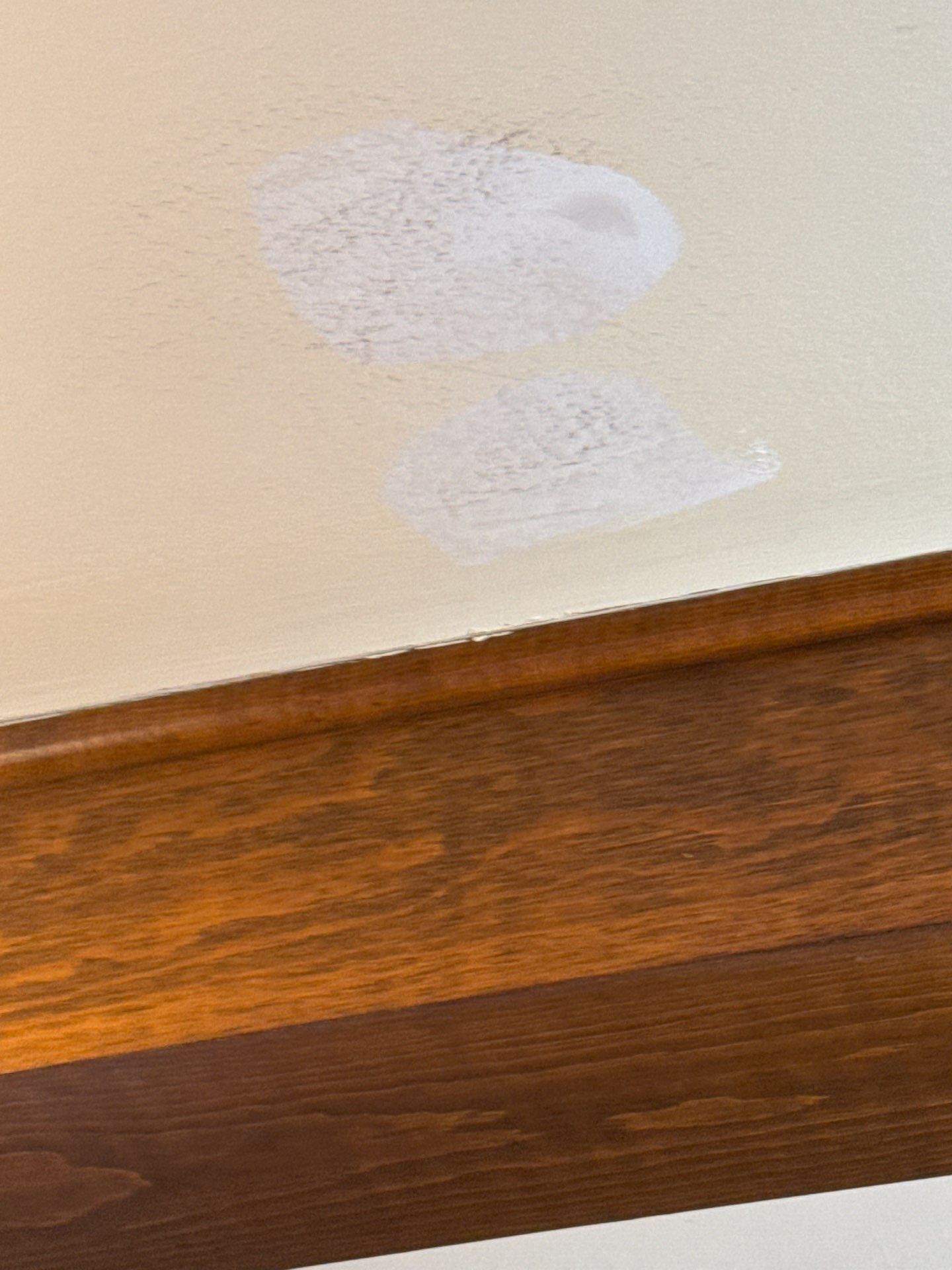 Residential Interior Painting in Annandale, VA by My Painter 