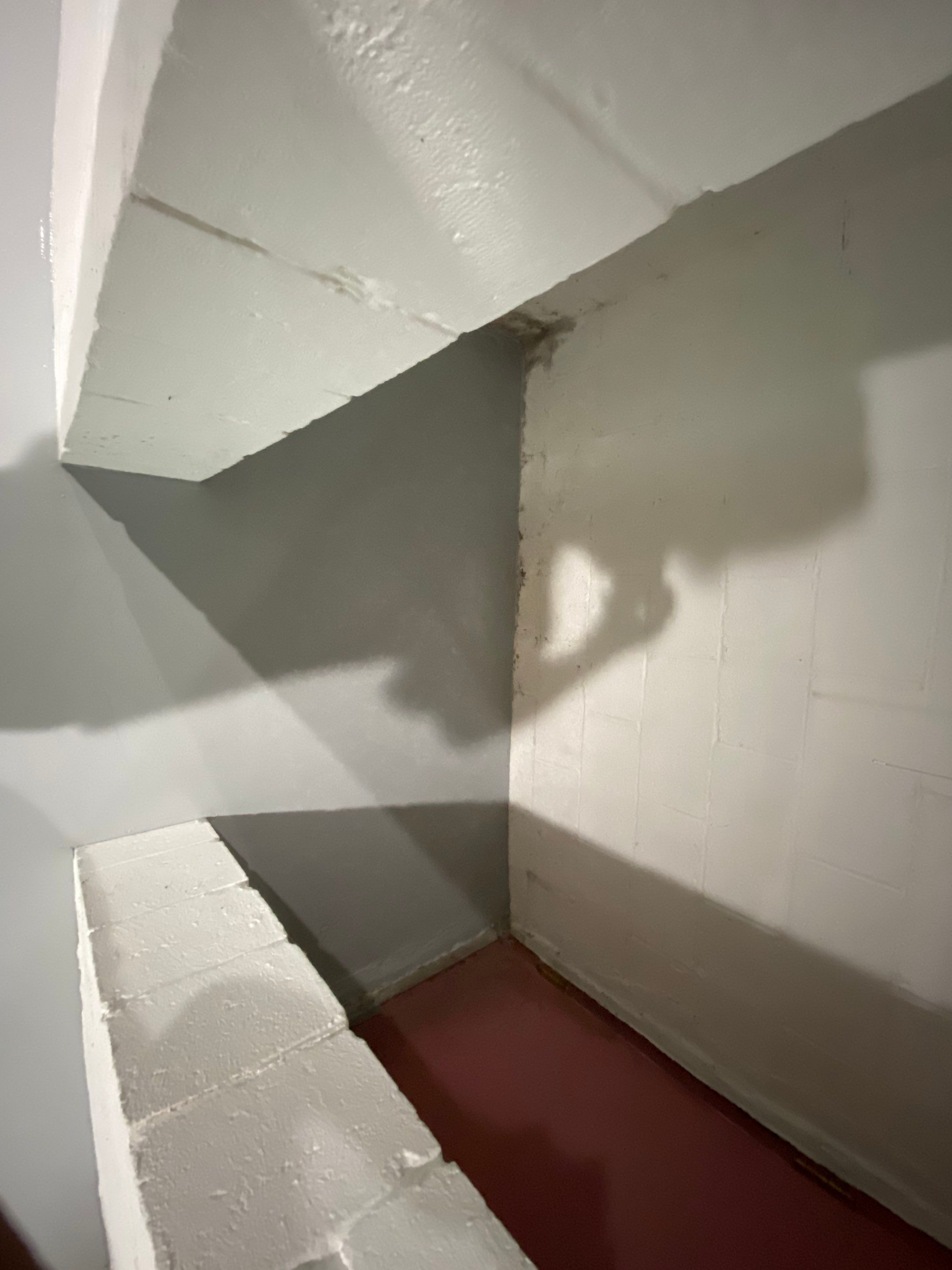 Basement + Garage Project in Pittsburgh by Floors in a Day, Inc