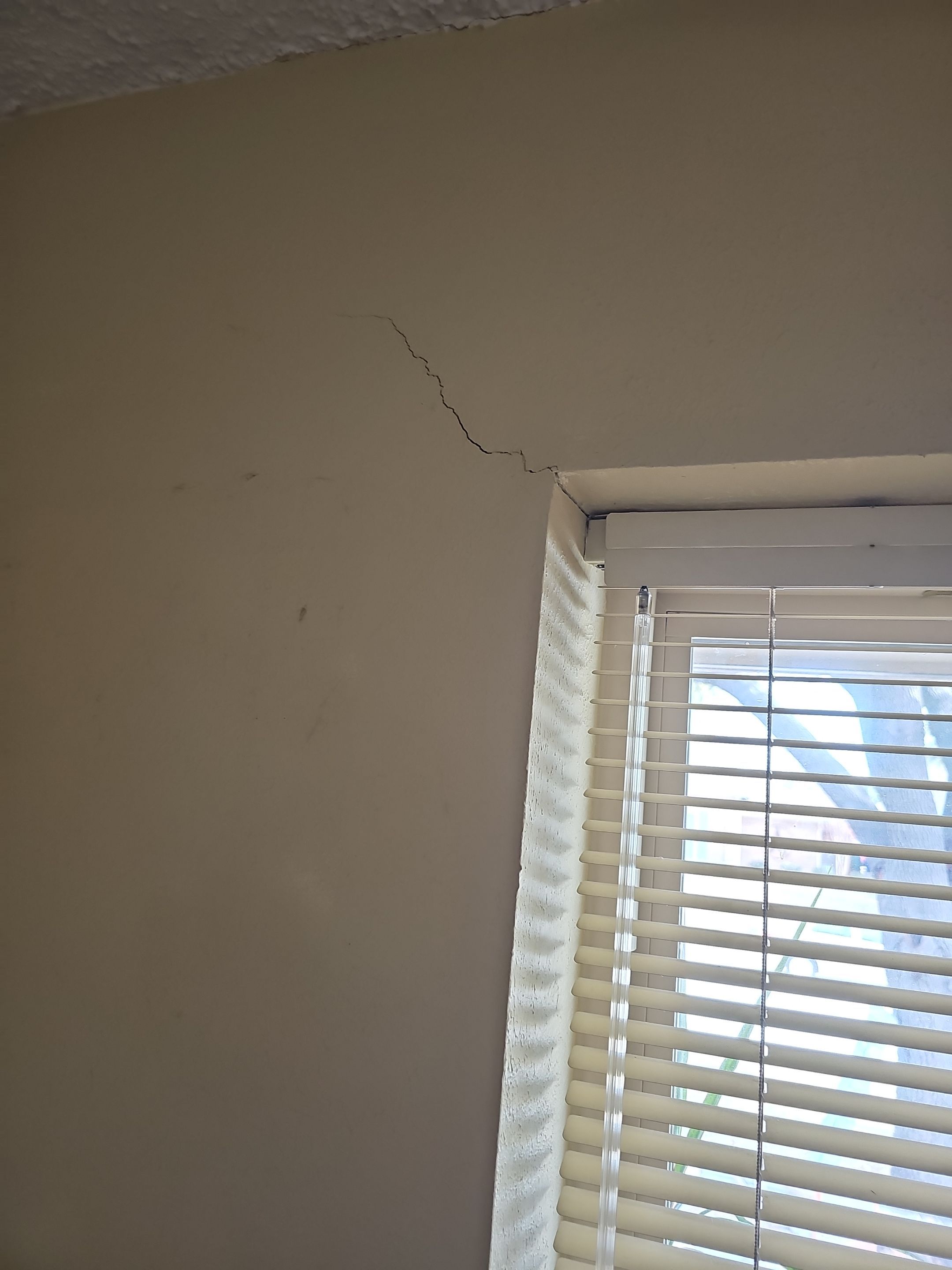 Roof replacement, popcorn removal, fence stain & paint by EL-GC LLC 