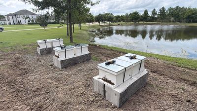 The Lion and the Lamb Apiary