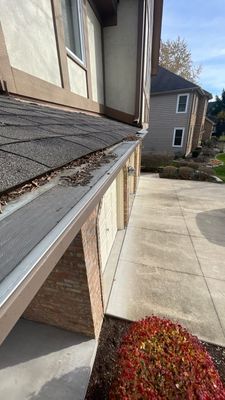 Turtle Shell gutter protection installation in Naperville, IL 60565, photograph 7