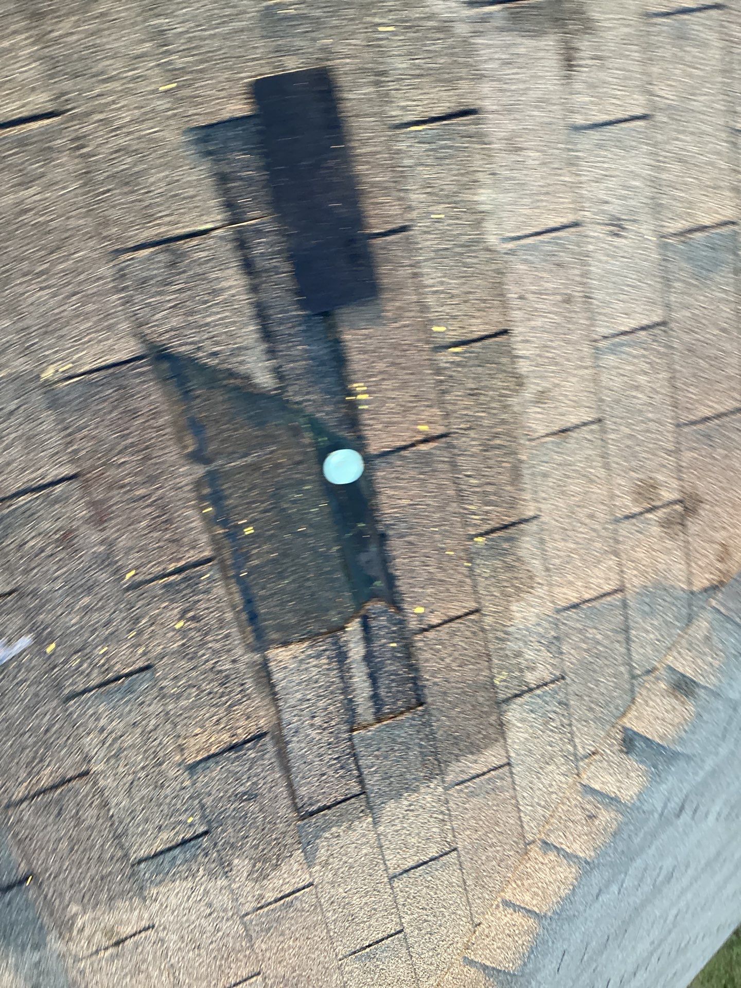 Asphalt Shingle Roof Replacement and Hail Damage Restoration in Hutto by Caliber Restoration LLC