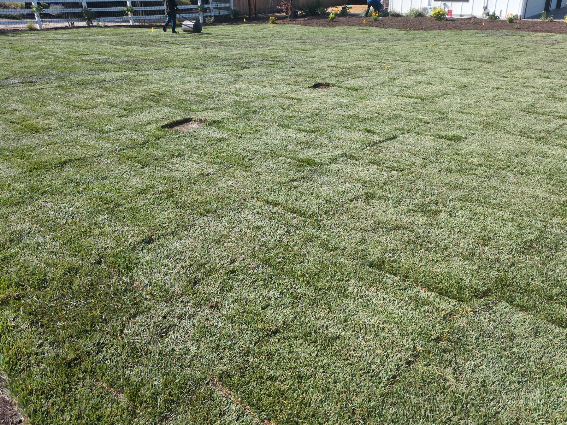 Project in Murphys by A - G Sod Farms