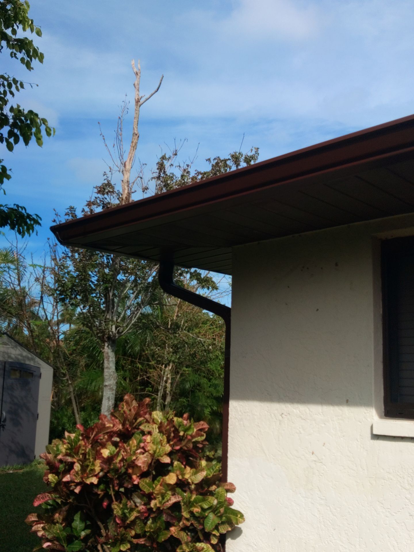 Brown Gutters in Cape Coral FL by Gutter Professors