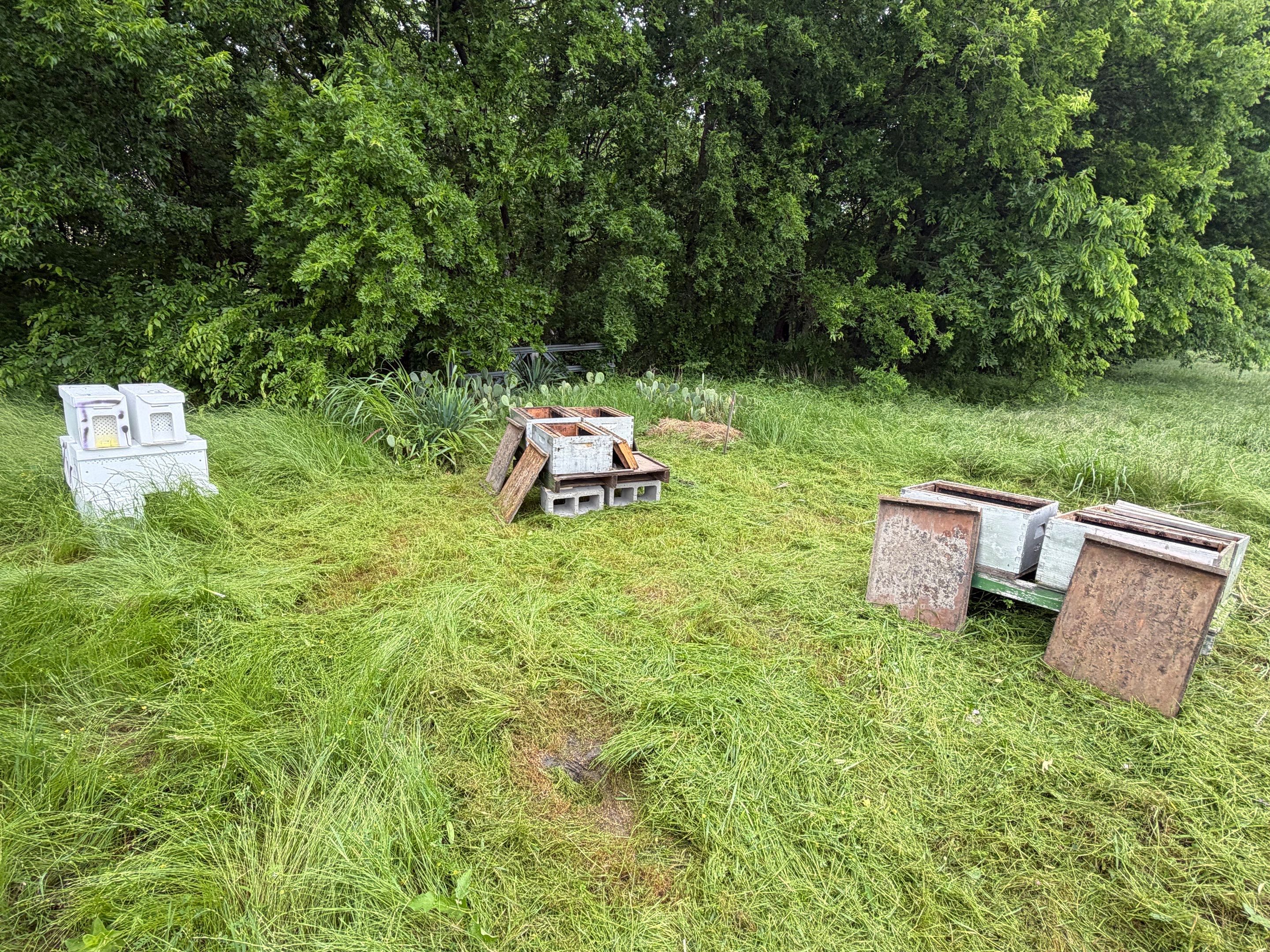 Special Use Valuation in McClendon-Chisolm by Rockwall Honey Bee Company