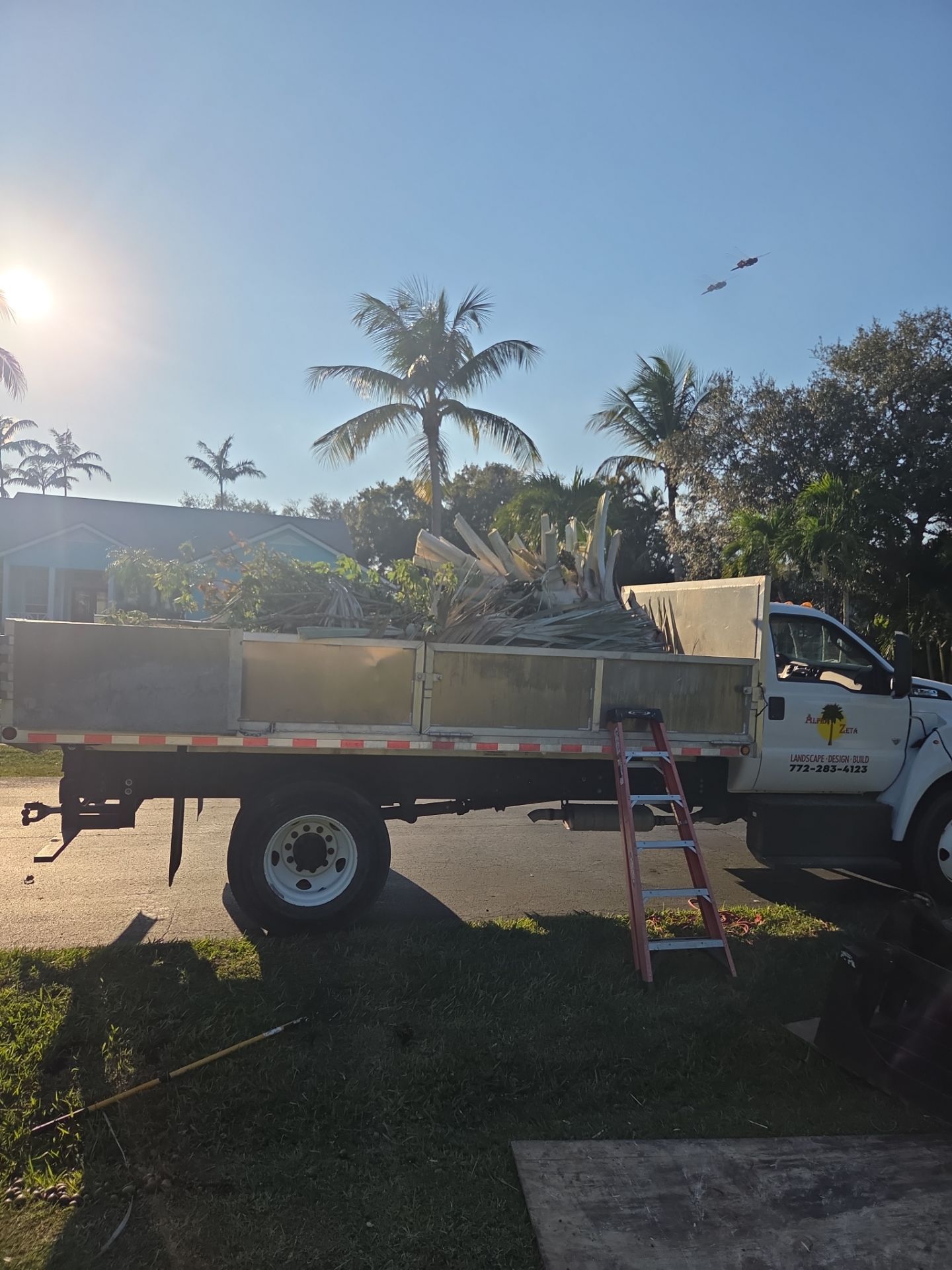 🌴 Landscape Removal and Install in Palm City by Alpha Zeta Enterprises Inc