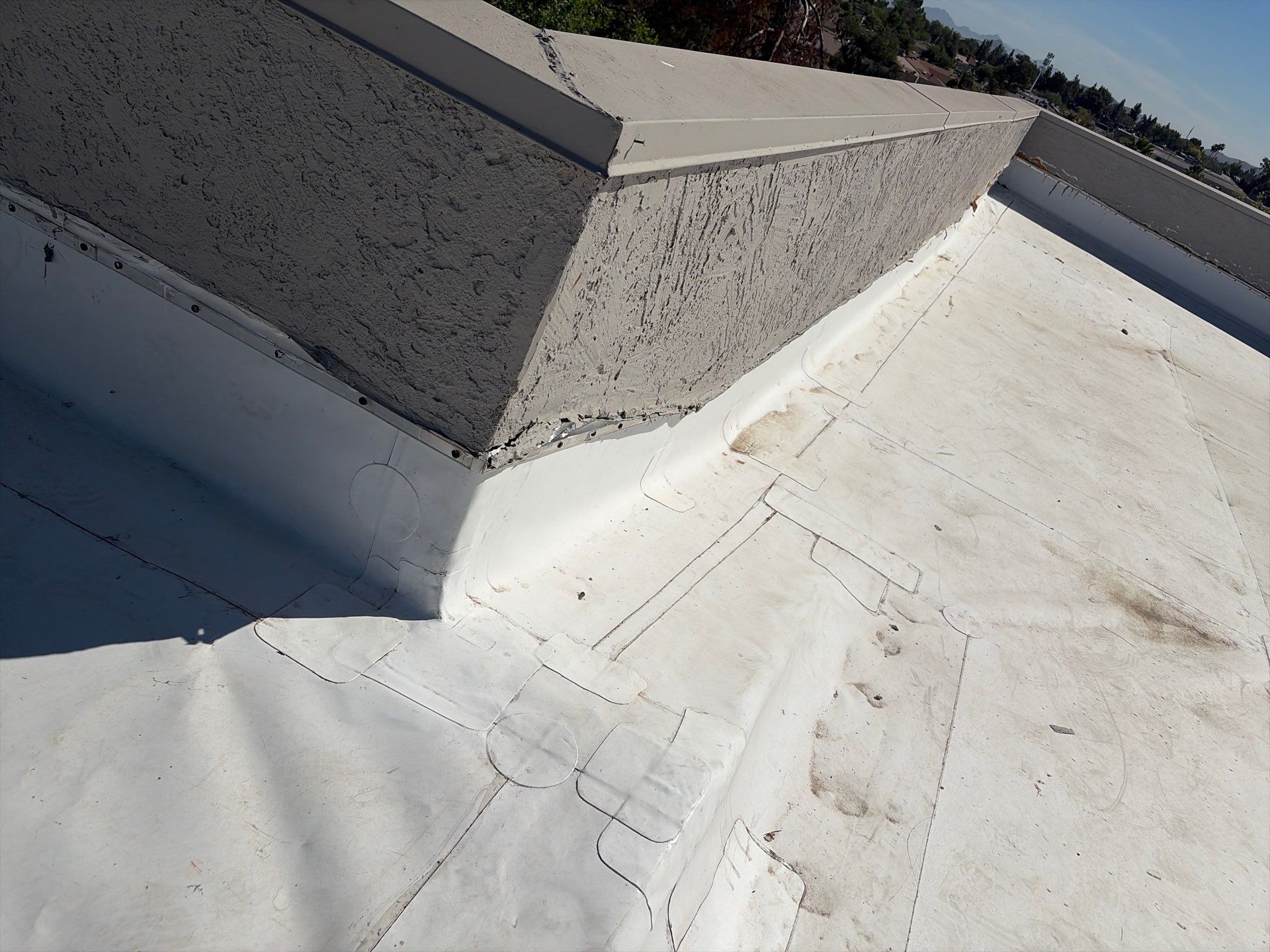 Project in Glendale by Crush Development Services LLC