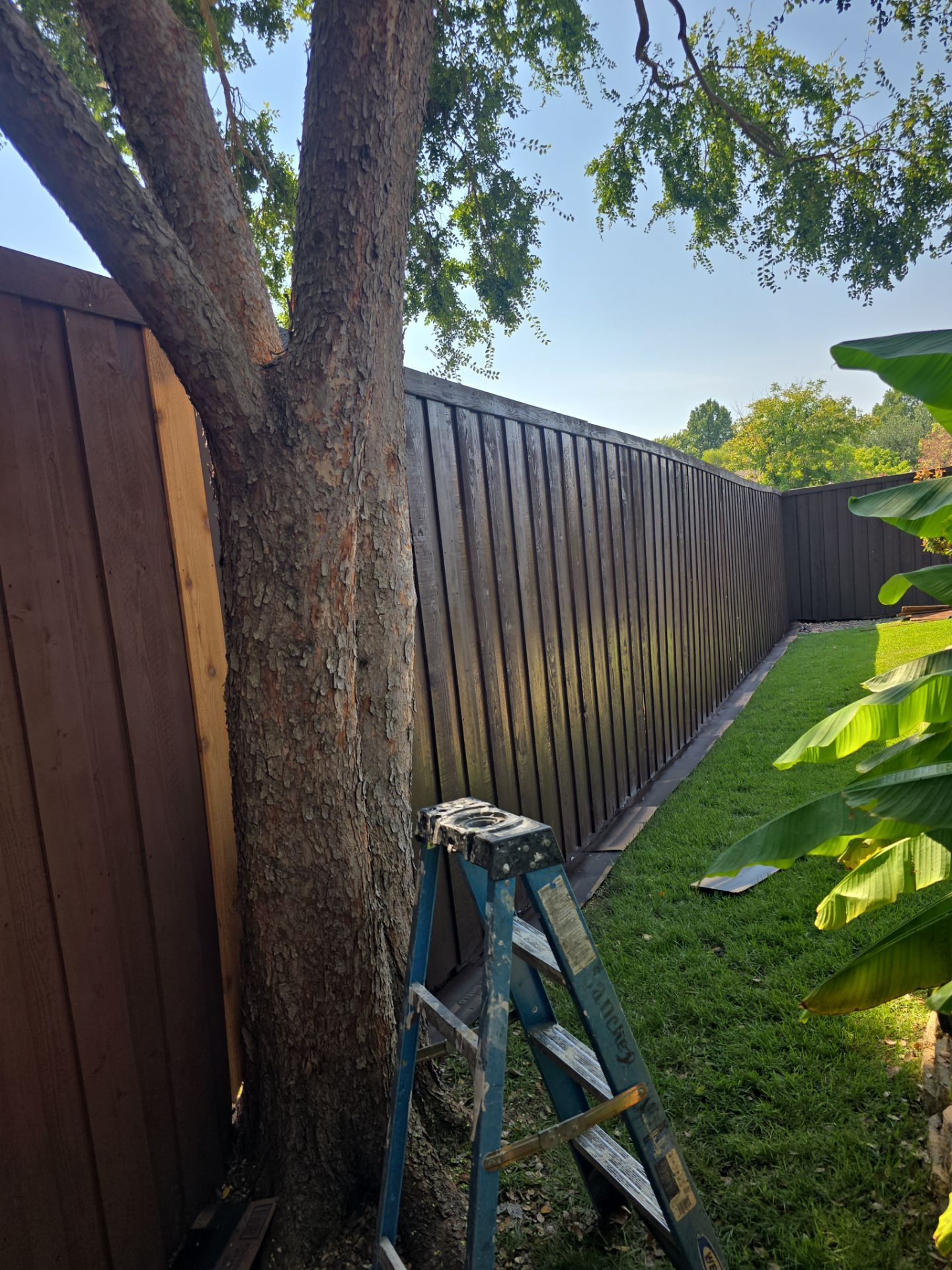 Dog Door Replacement by First Out Roofing 
