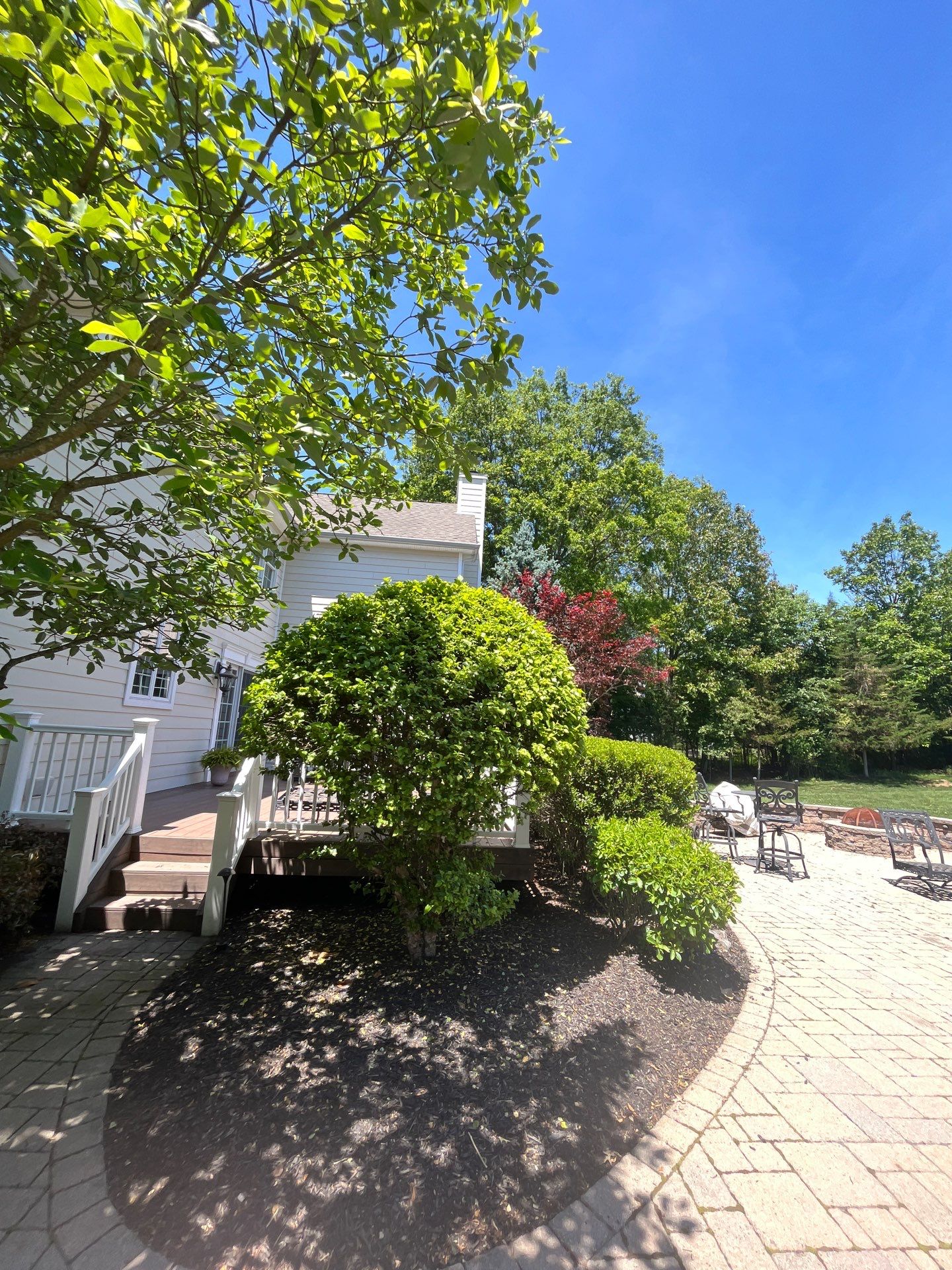 Lawn Care and Shrub Care at a beautiful Bridgewater property by Ants Plants