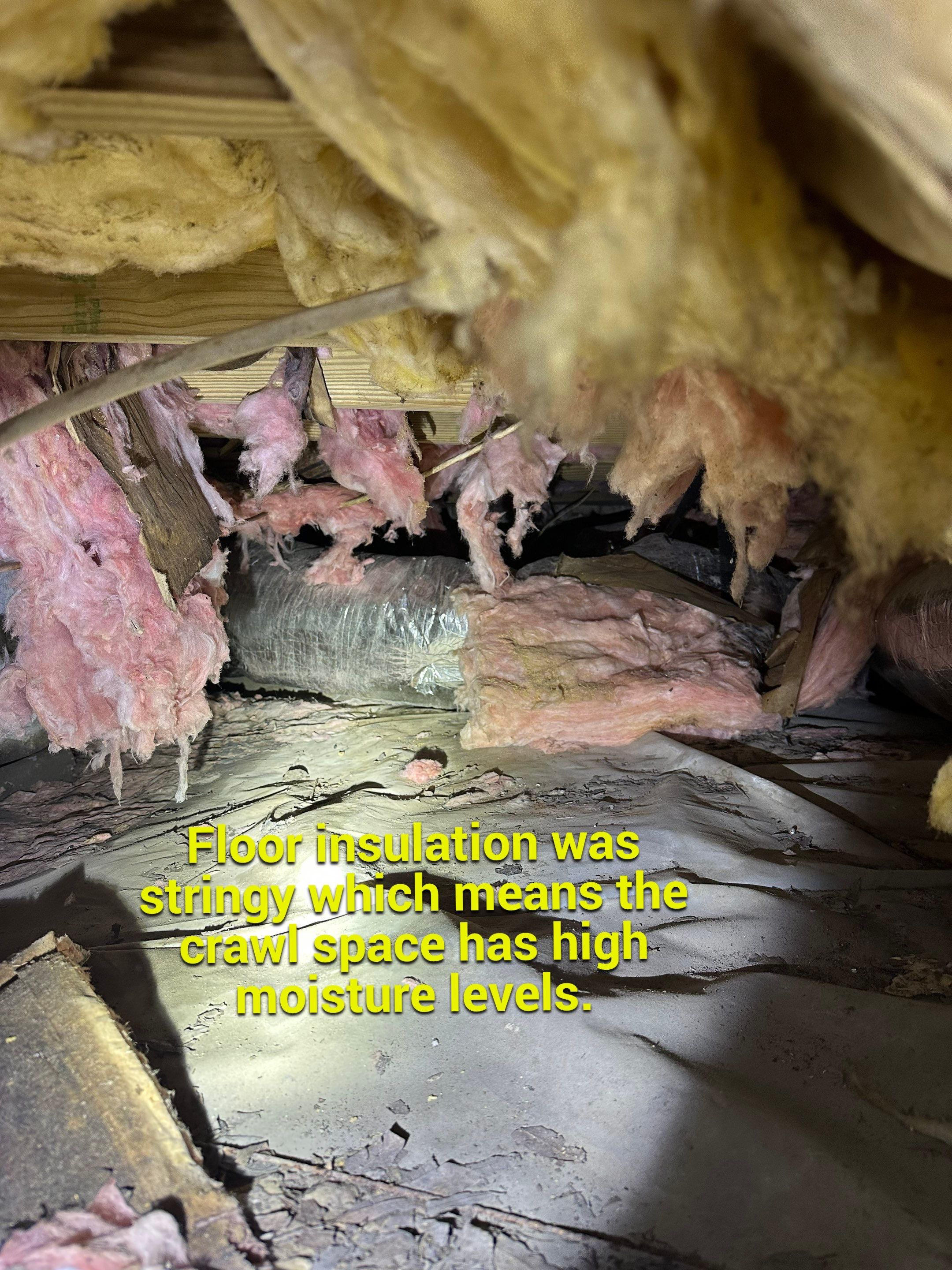 Impact Choice Encapsulation on a low crawlspace. by Impact Crawlspace