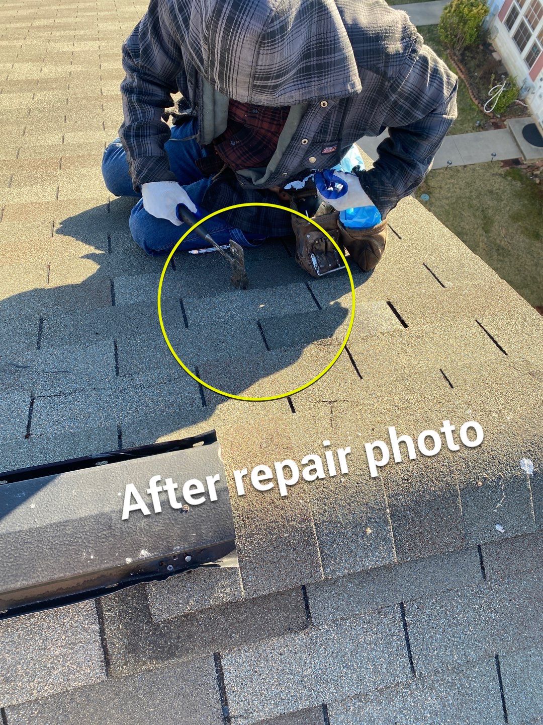 Residential Roofing Repair using XT-25 Shingles by Alpha Design Services