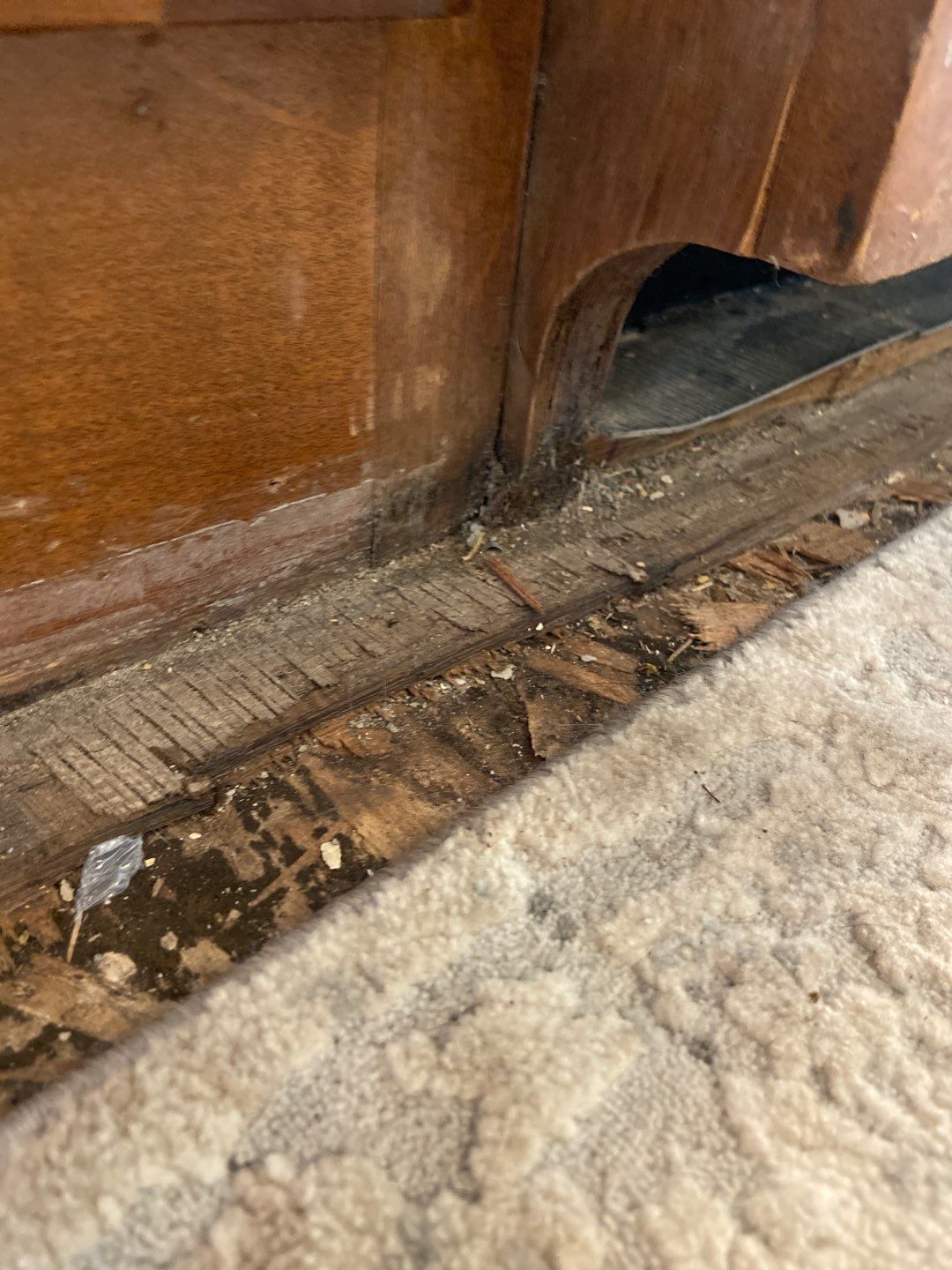 Emergency Service Water Mitigation in Sellersburg, IN by ANR Restoration