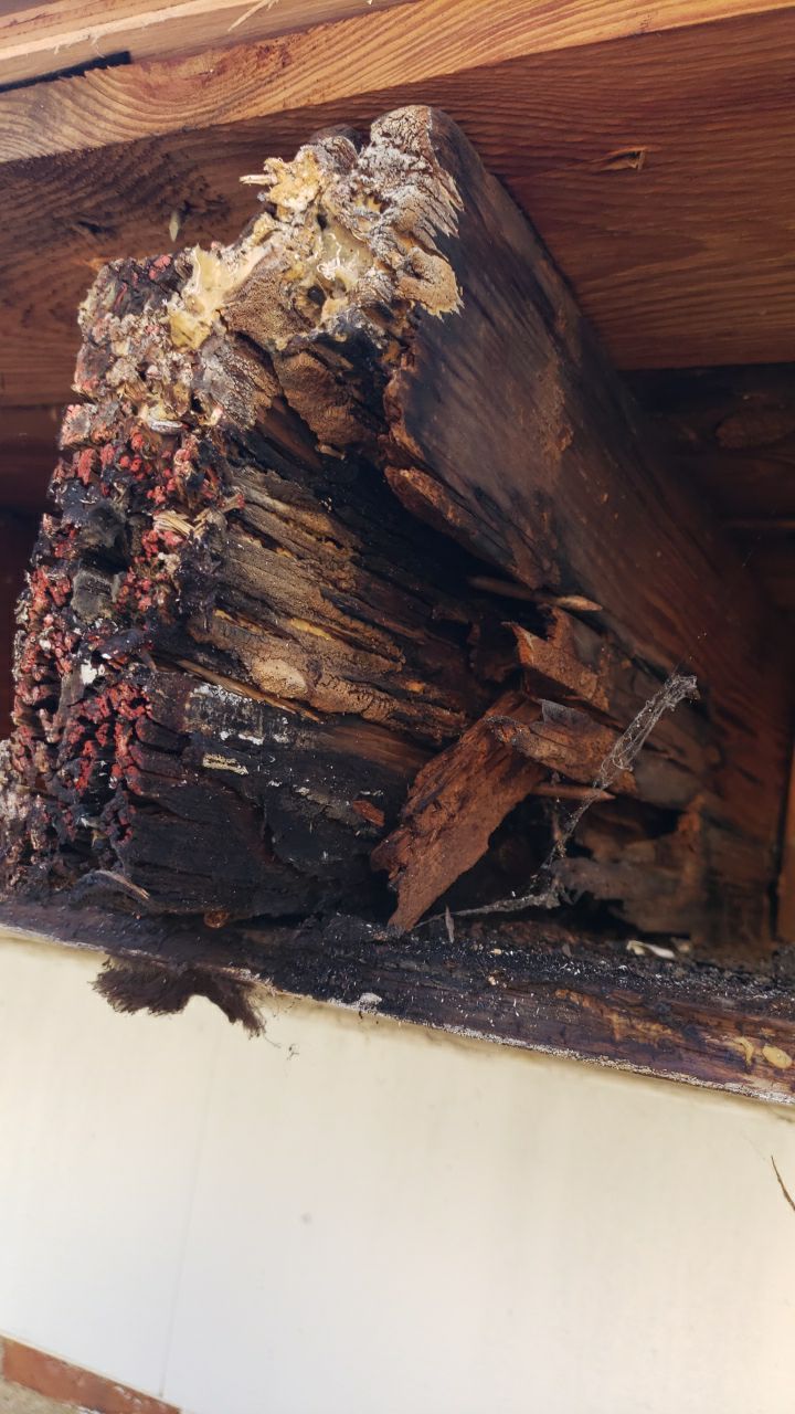 Arlington: CertainTeed Landmark Pro Designer Shingles in Max Def Burnt Sienna by RM Banning, Inc.