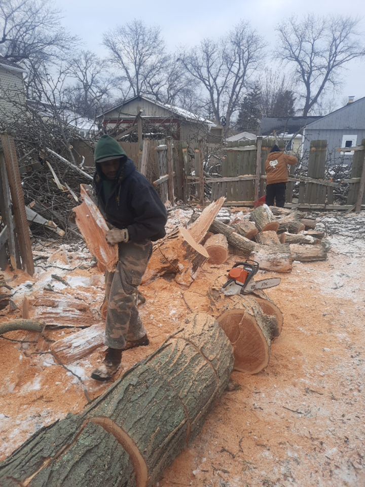 Storm Damaged Tree Removal  using Tree Removal by Mike Jones & Sons Tree Service LLC 