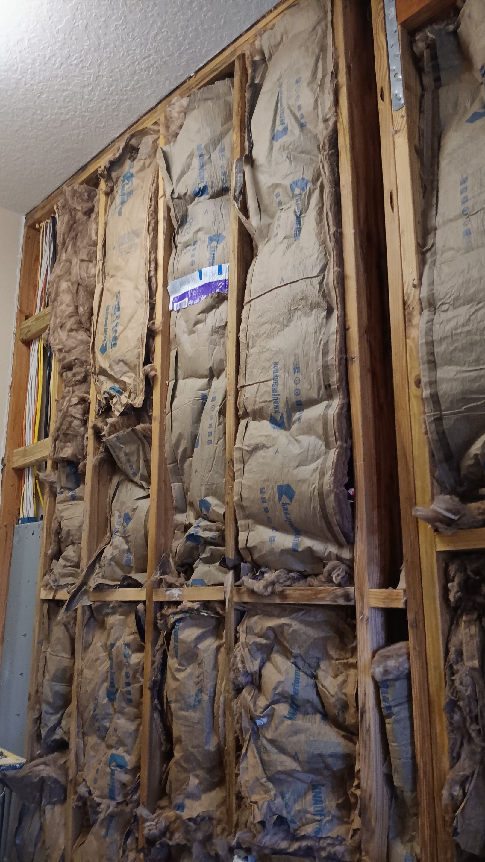 Mold Damage Inspection & Removal In Parrish, FL by Ampm Restoration Services