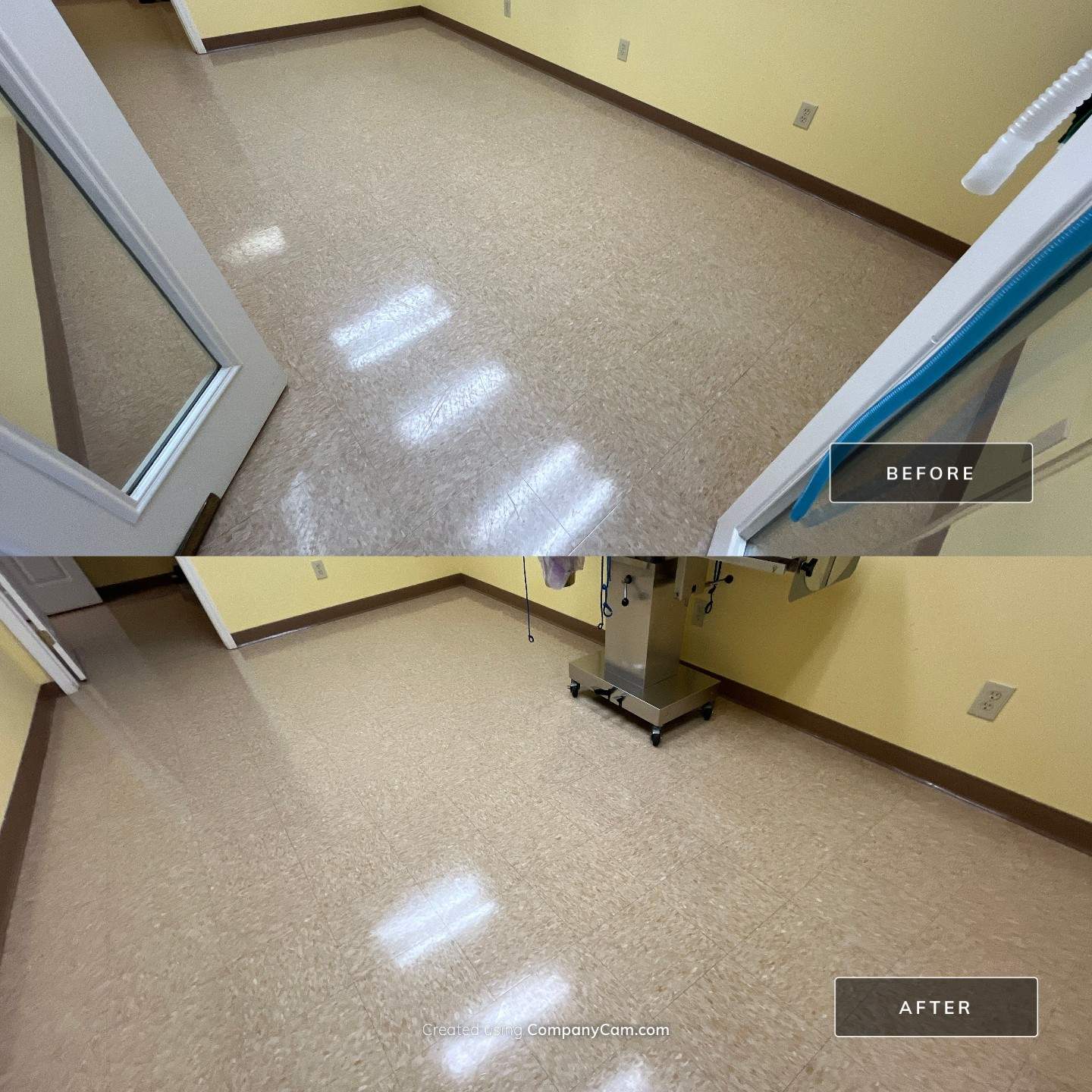 Highland Rim Animal Clinic by Mr. Mister Power Washing