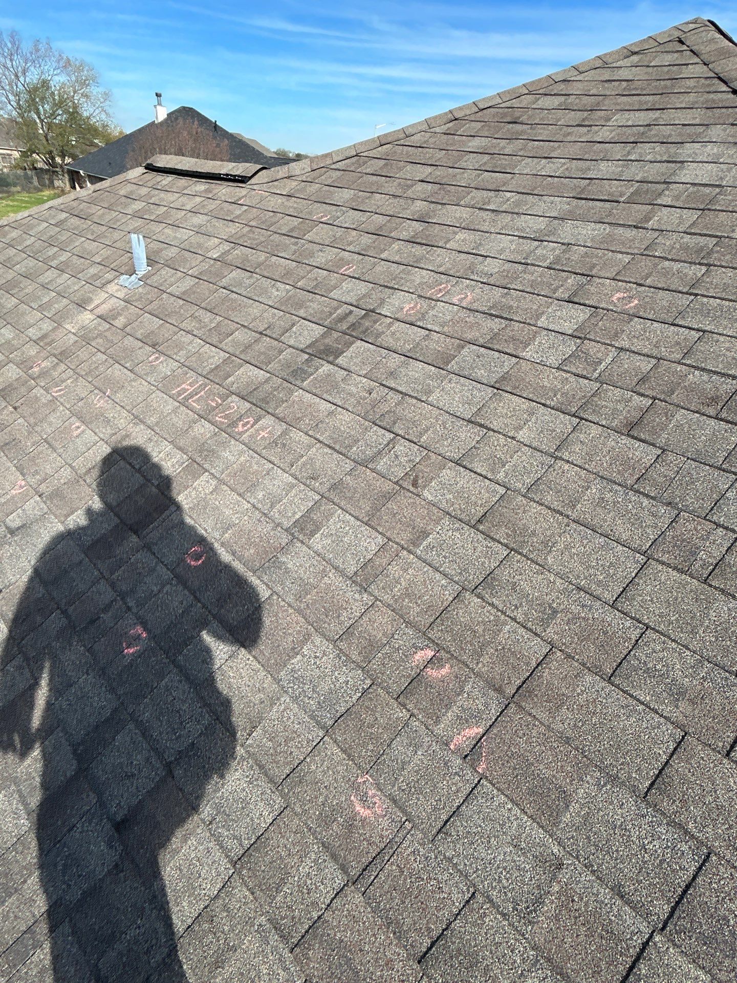 MARTHA C. by Boss Hogg Roofing