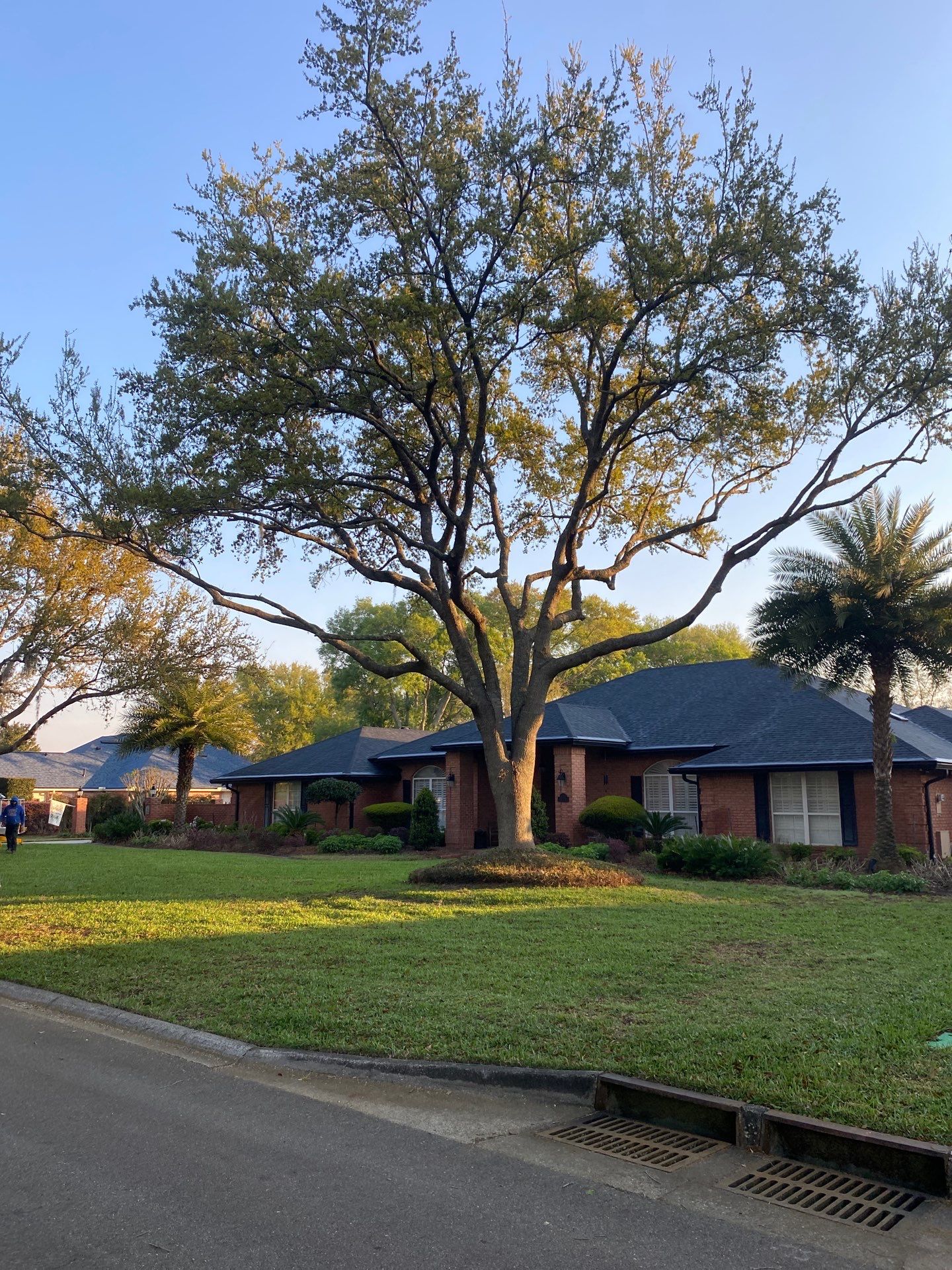 Deerwood Resident | Tree Service by ProGreen Services