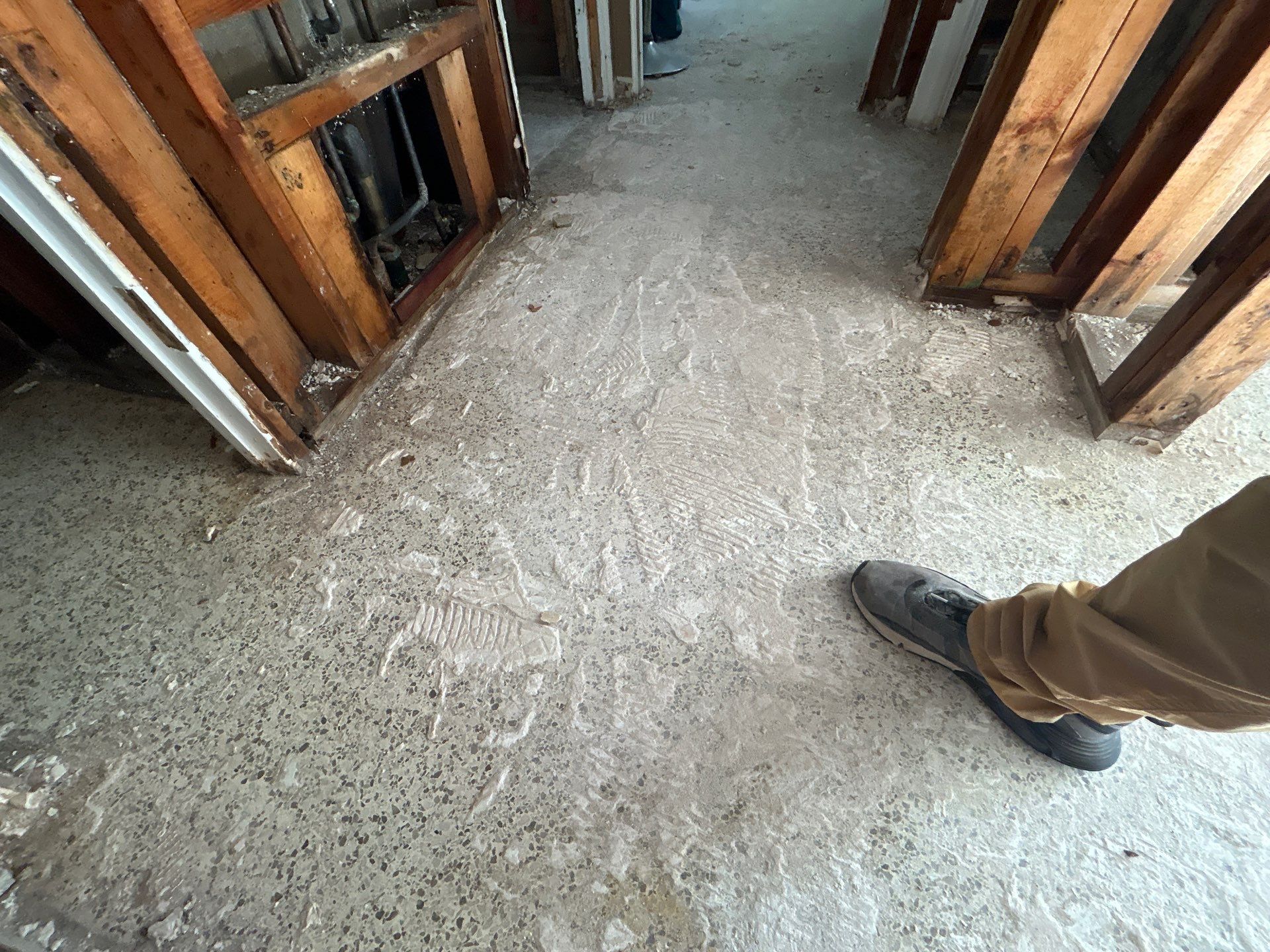 Mold Remediation + Reconstruction Bradenton by Ampm Restoration Services