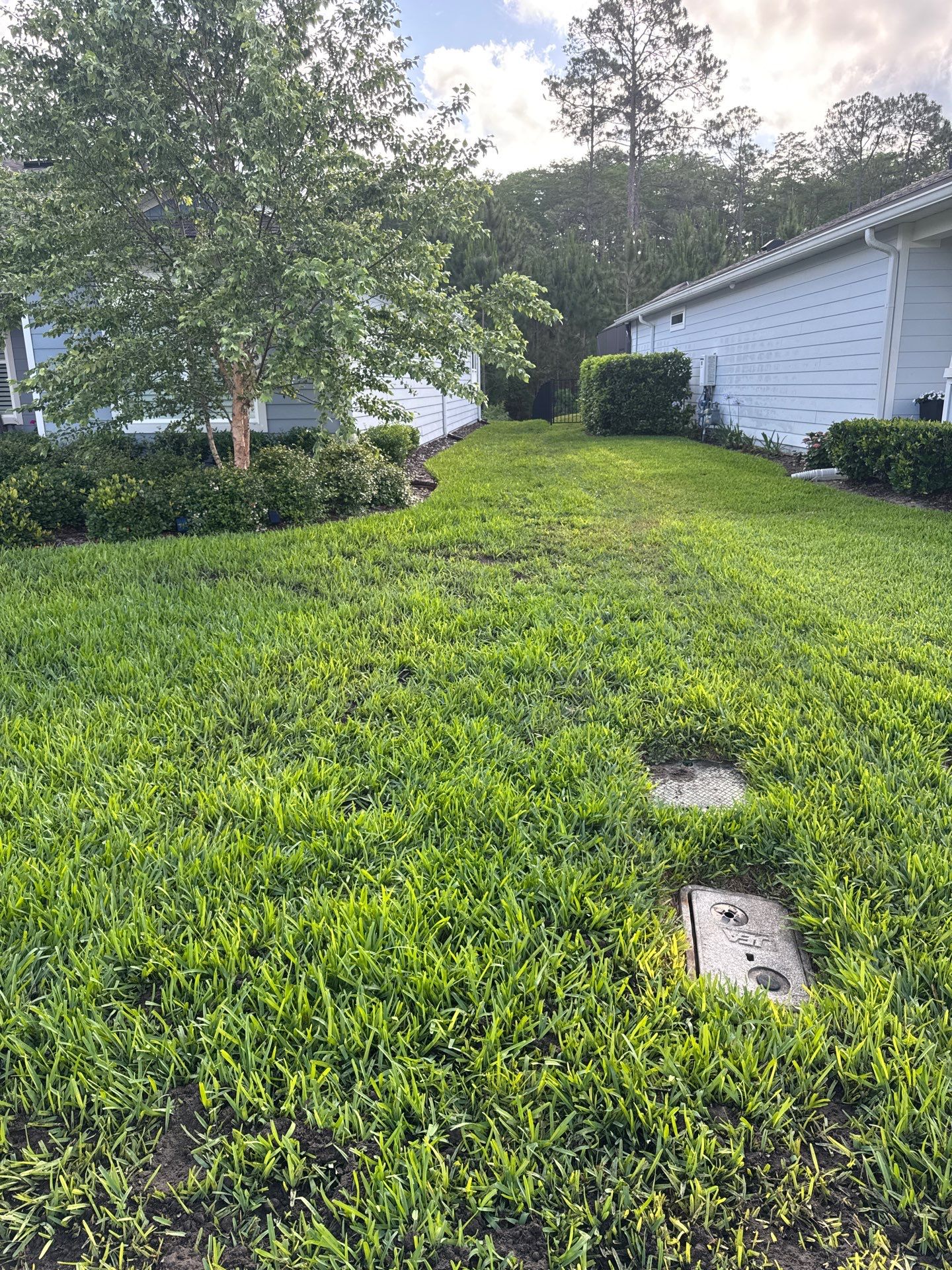 Residential | Topsoil Install & Tree Trimming by ProGreen Services