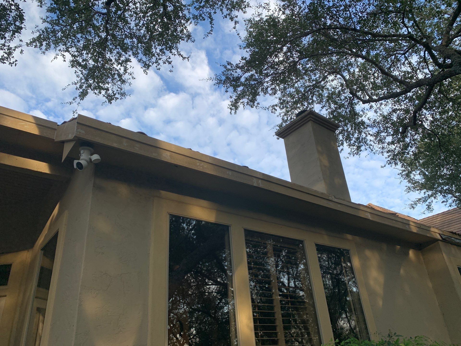 Fascia Carpentry Repair and Paint  by Rox Roofing