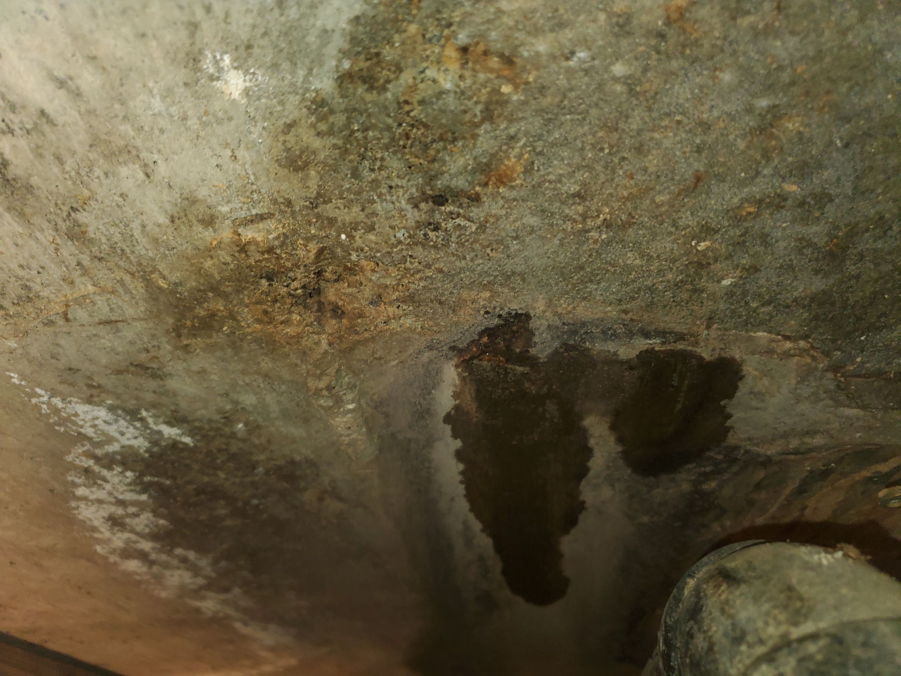 Water Damage using Air Movers by Construction Now LLC