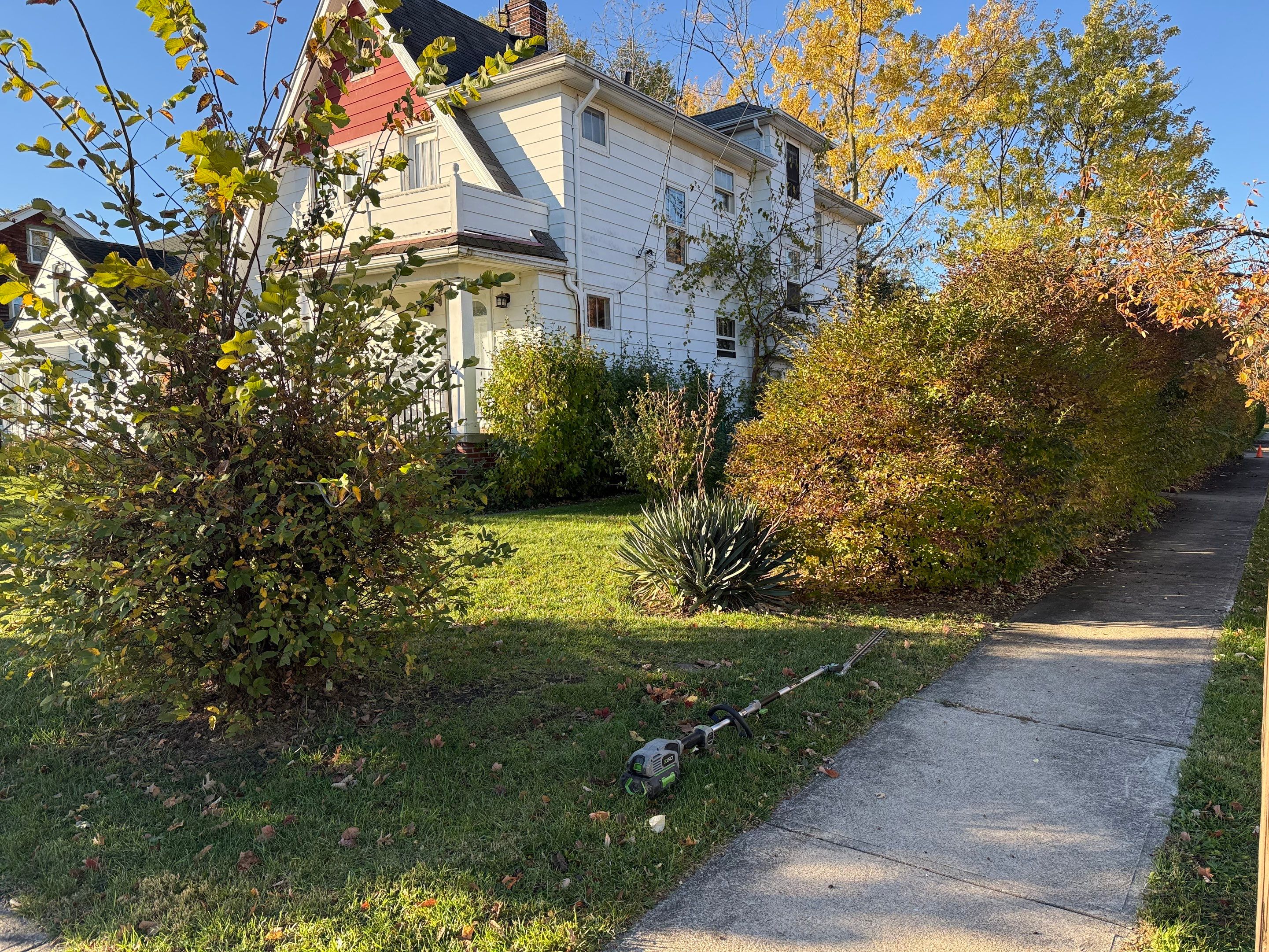 Hedge Shaping Maintenance by Elm Rose Gardens