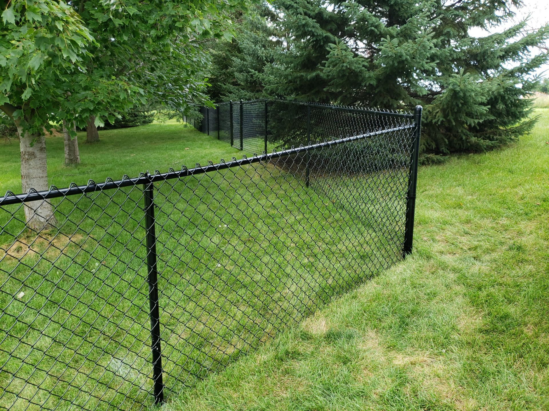 Black Vinyl-Coated Chain Link Fence Installation in Cedar Falls by Perfect Picket Fence and Stain