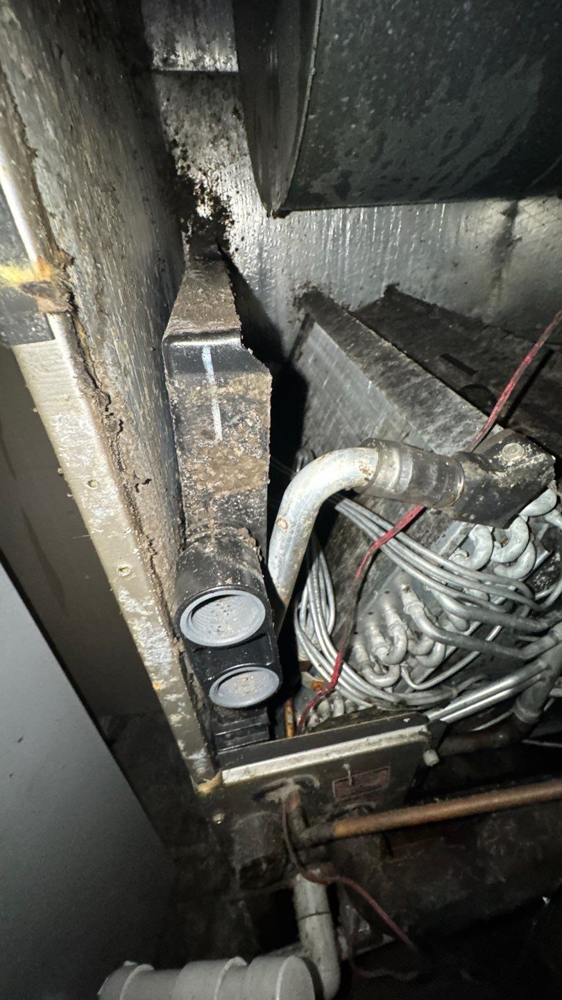 Extremely Dirty Air Duct Cleaning in Fruitland Park by Hygienic Air, Inc