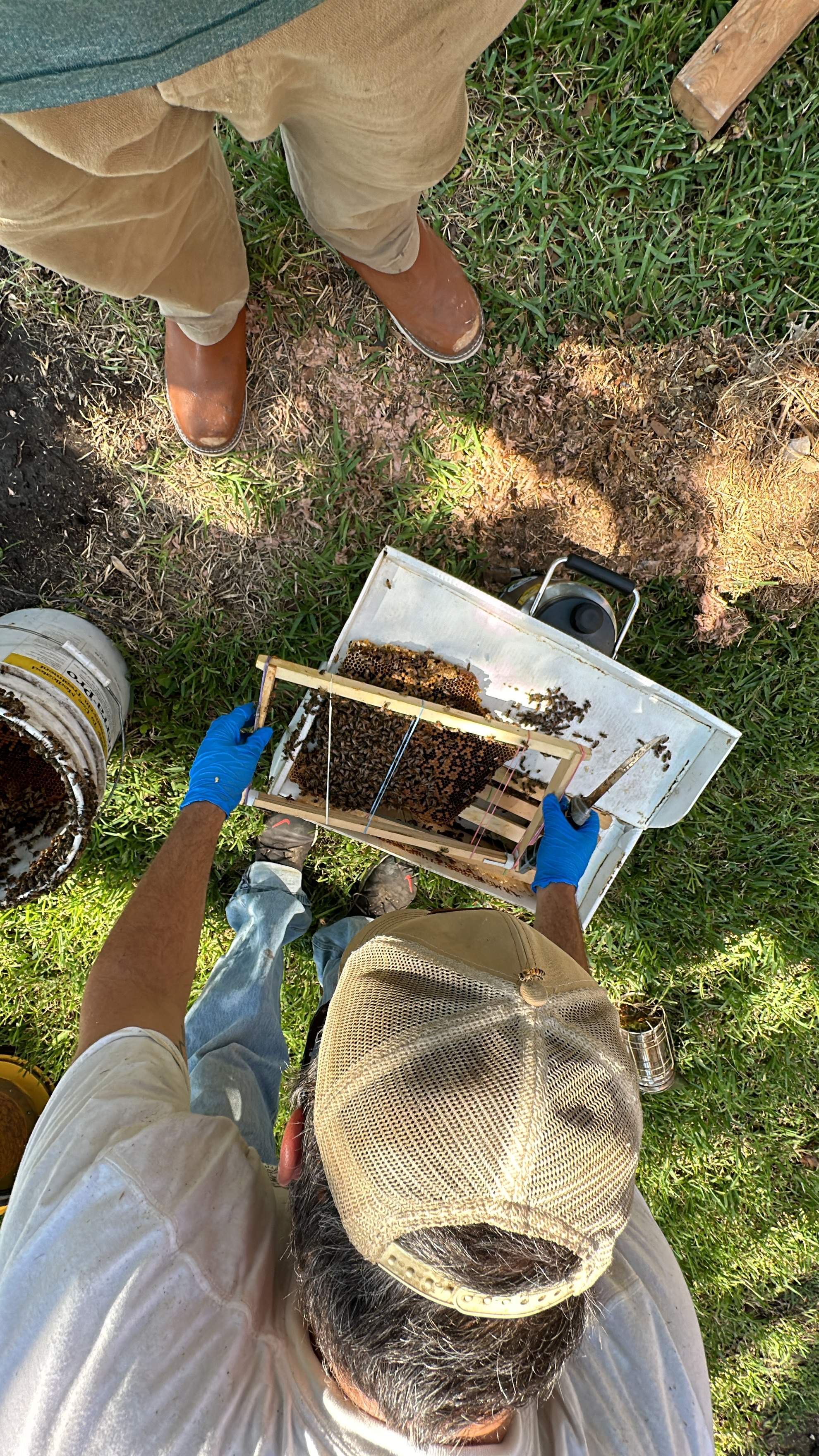 Extra High Up by Rockwall Honey Bee Company