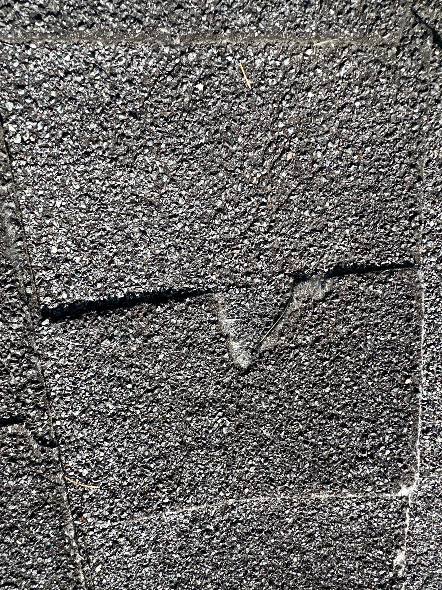 Exposed Fastener Metal Roof Replacement – Columbia City, Indiana by 4Ever Metal Roofing