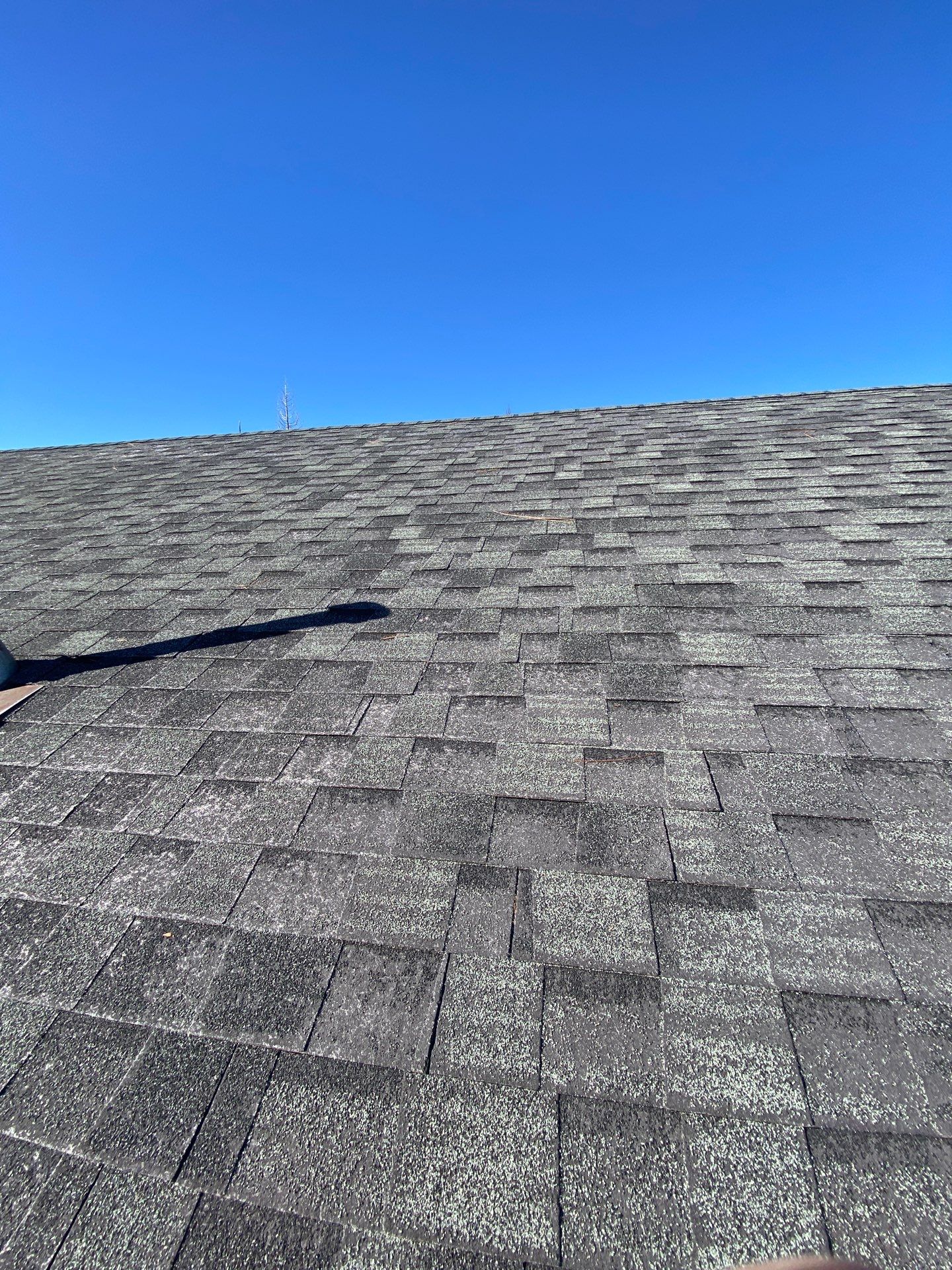 Roof Rejuvenation using Roof Maxx Treatment by Roof Maxx of Folsom