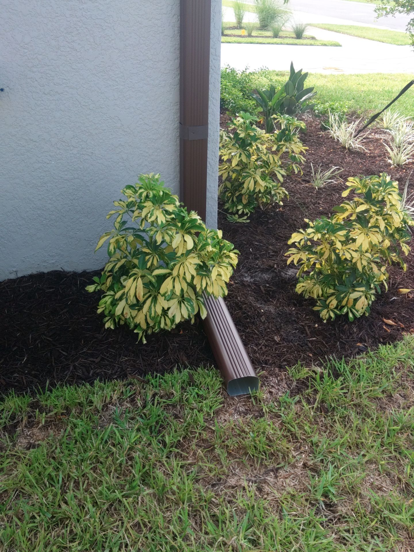 Musket Brown Seamless Gutters using Musket Brown Seamless Gutters in Nokomis FL by Gutter Professors