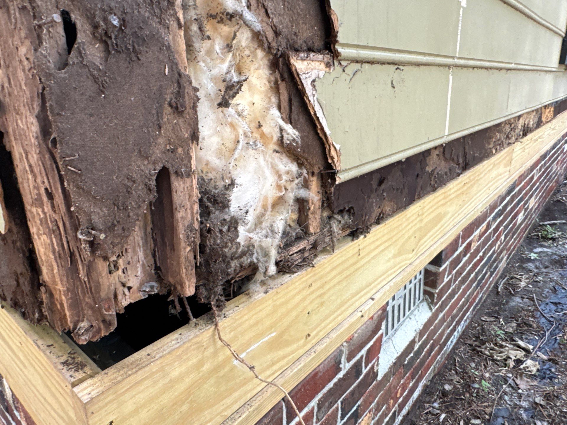 Siding Replacement and Structural Wood Rot Repairs in Mechanicsville by Cade Construction