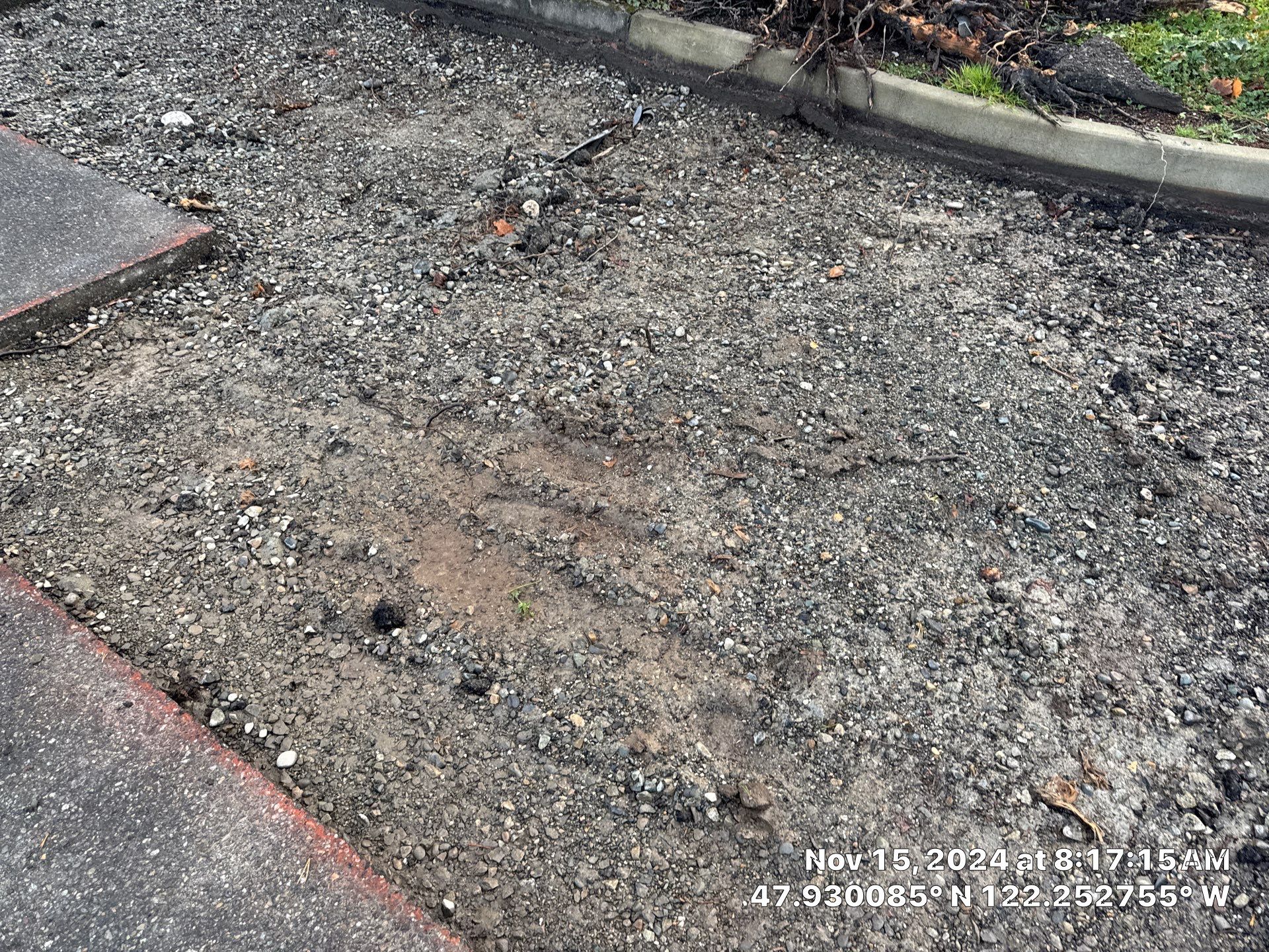 Tyler | Patch & Spot Repair and Curbing, Concrete & Asphalt Project by Jireh Asphalt & Concrete Inc 