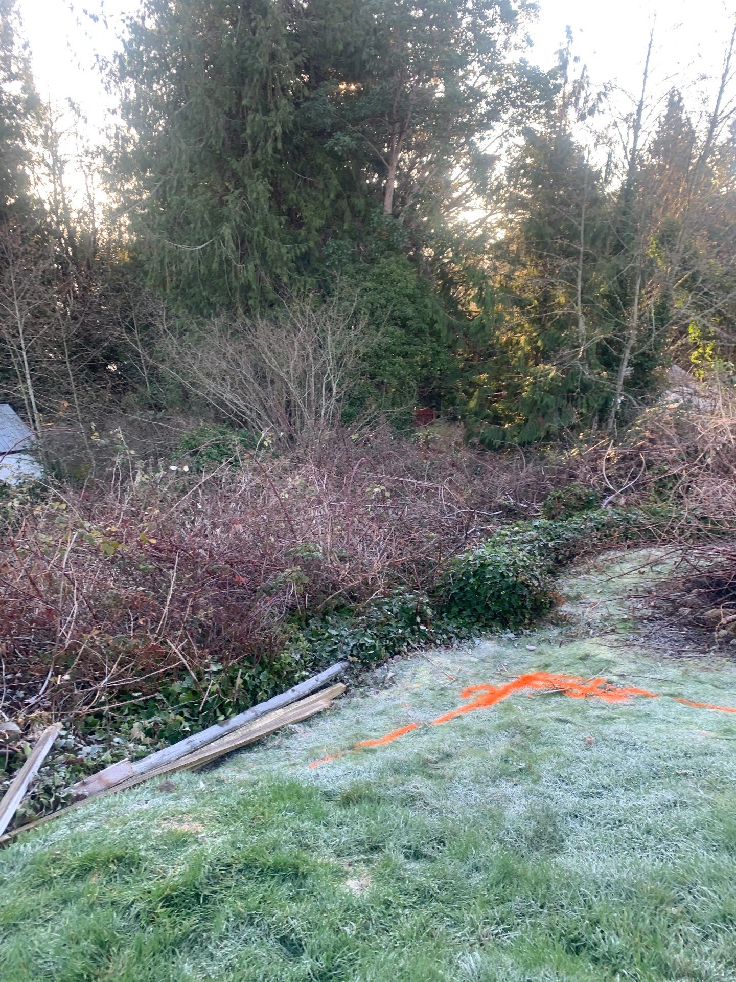 Sport Court |  Port Orchard by Jireh Asphalt & Concrete Inc 