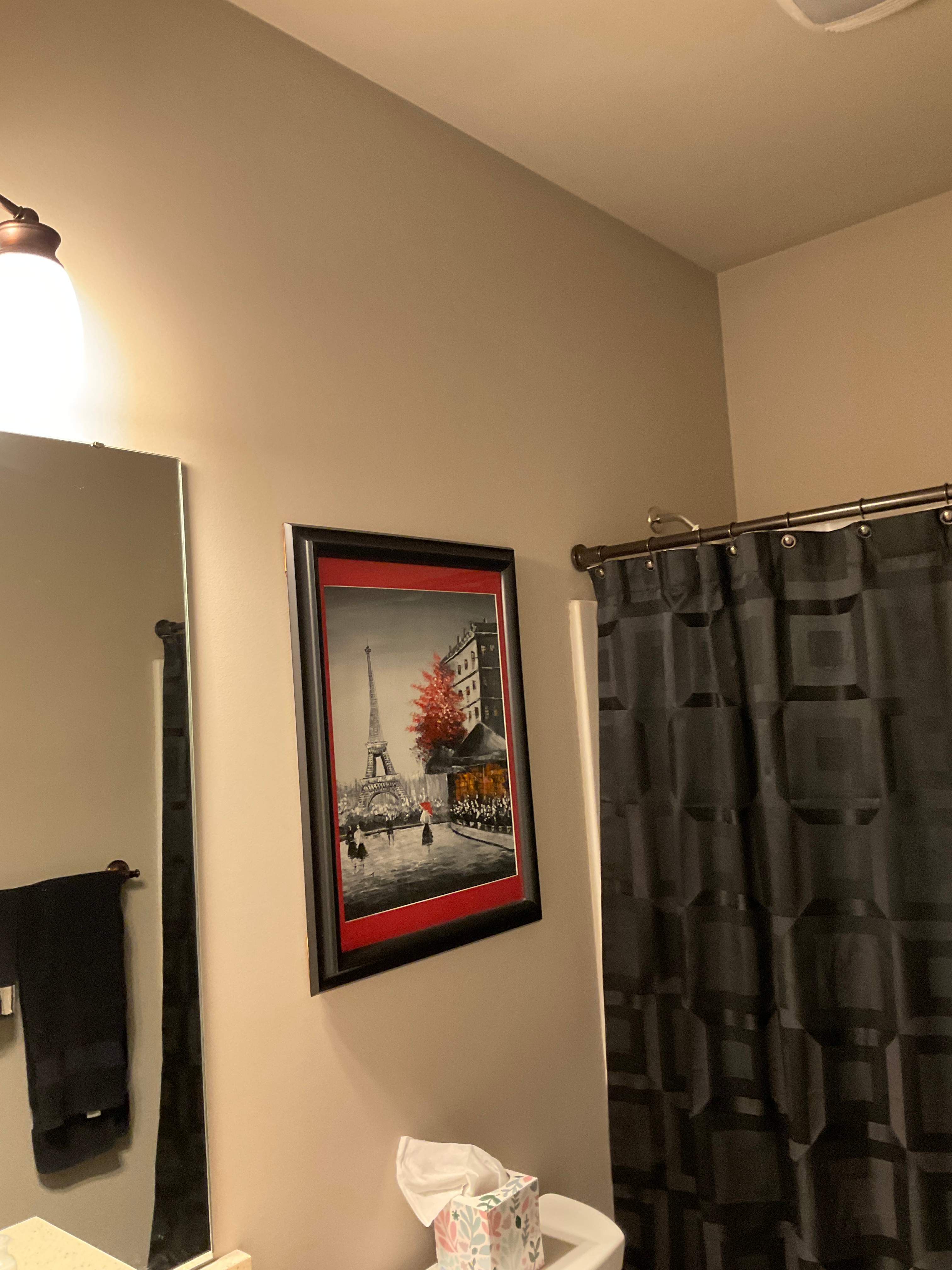 Interior Painting using Benjamin Moore Regal Select by The Persnickety Painters
