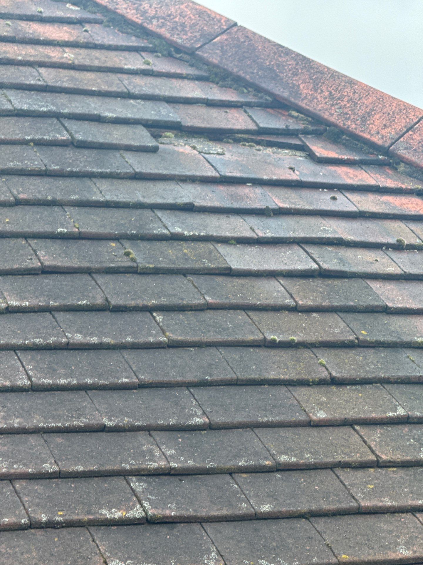 Exterior Clean - Roof - Patio - Driveway using honda 21 ltr/min by Ges Exterior Cleaning ltd