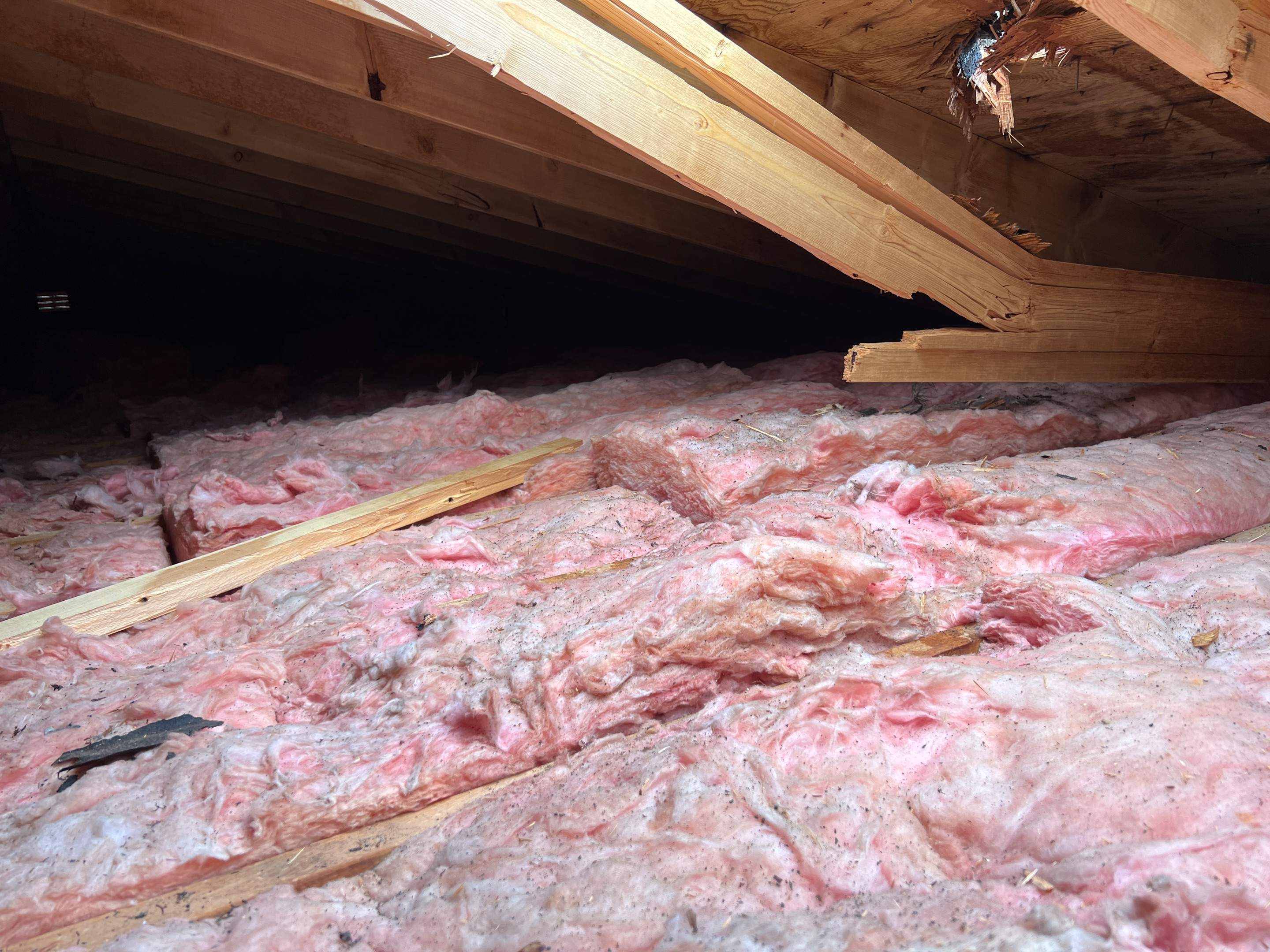 Tree Damage/Roof Repair by Chagnon Building & Remodeling LLC