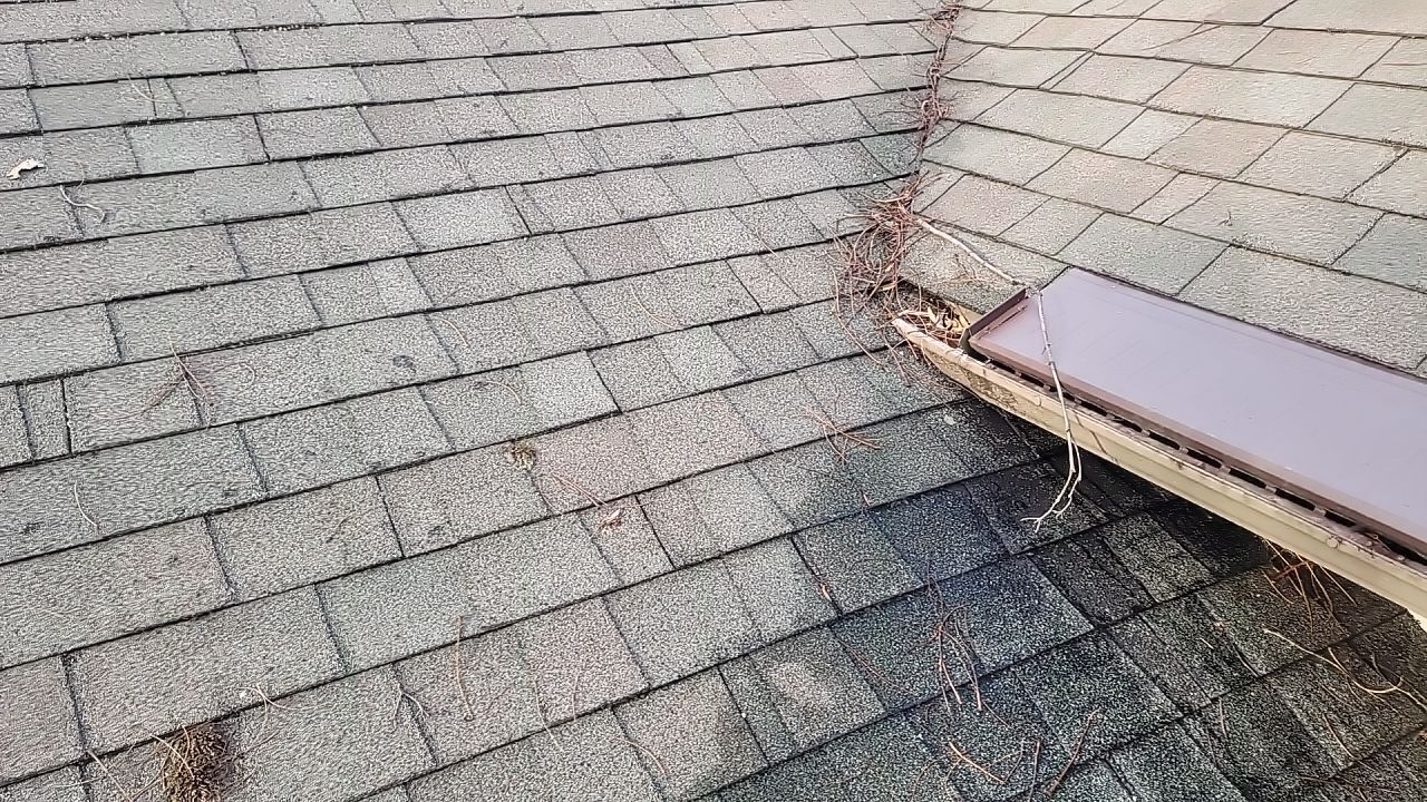 ATLAS PINNACLE HP COLOR: SCOTCHGARD HEATHERBLEND DRIP EDGE: MUSKET BROWN by Eagle Eye Roofing