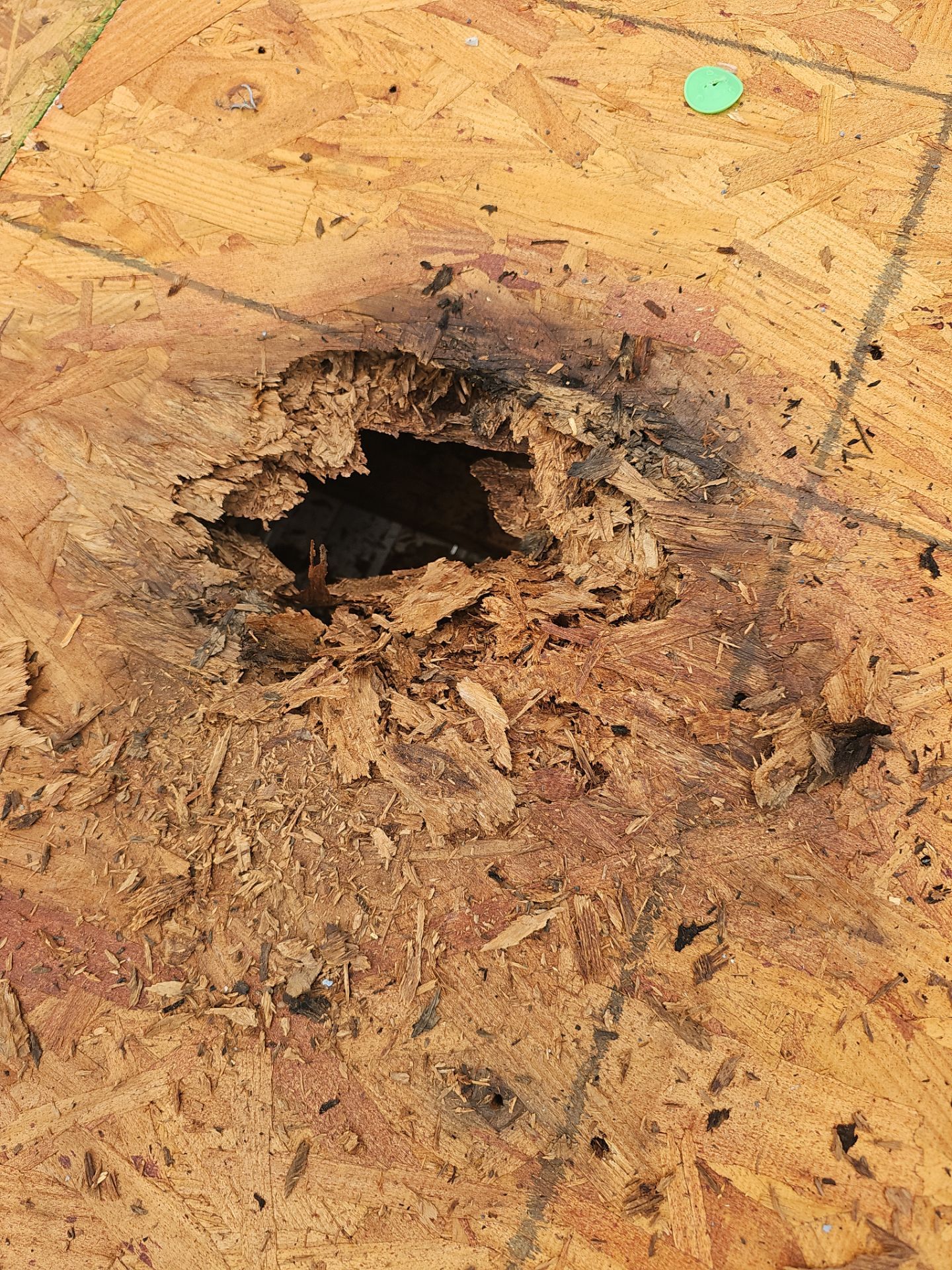 Roof Replacement - Asphalt and EPDM, Soffit, Gutters, Pine  by Winchester Roofing